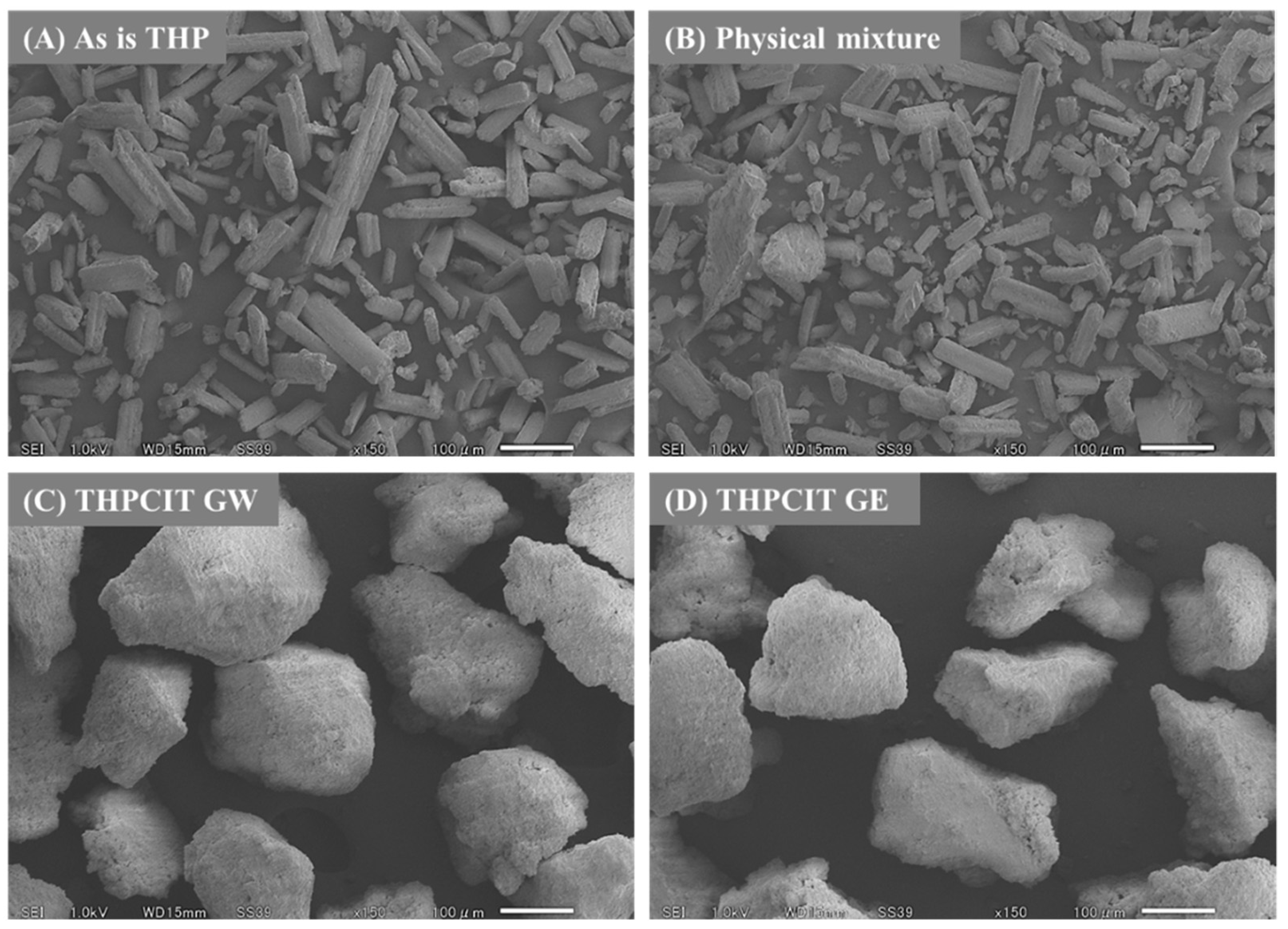 Pharmaceutics 13 00056 g004