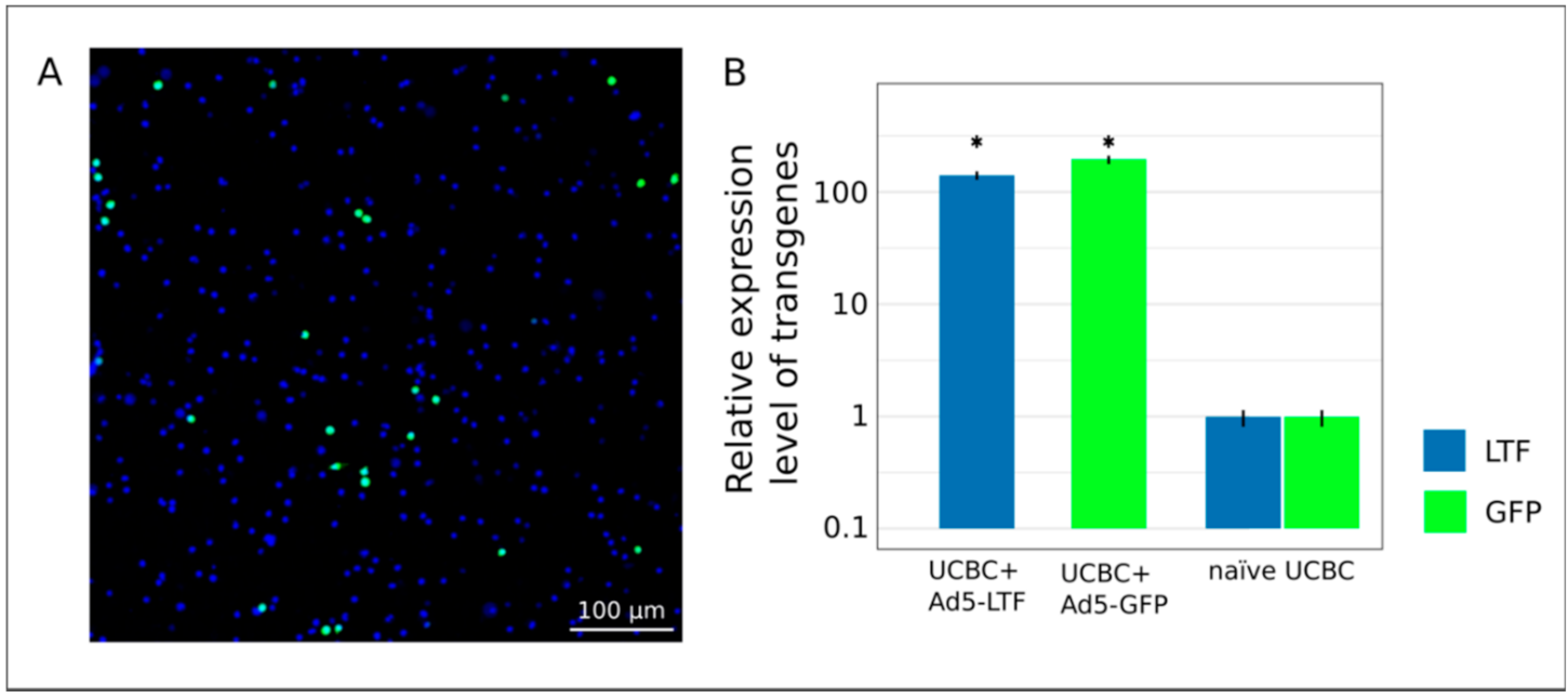 Pharmaceutics 13 00058 g002