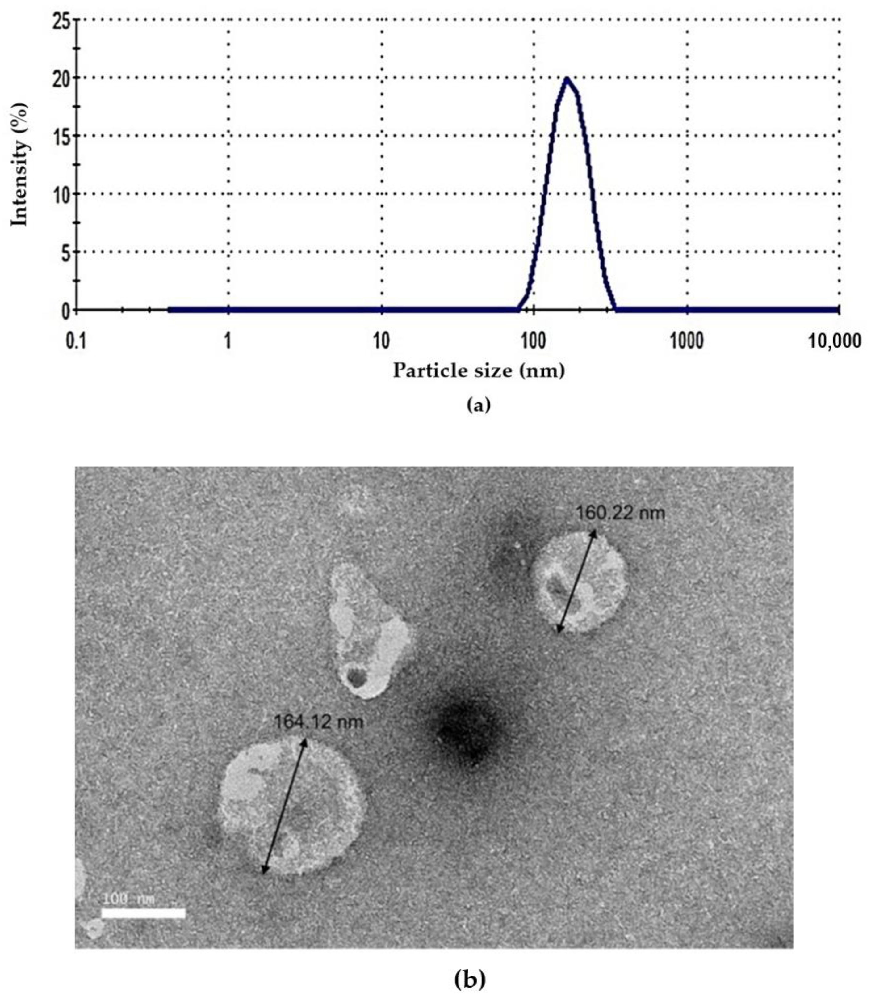 Pharmaceutics 13 00059 g002 Pharmaceutics 13 00059 g002