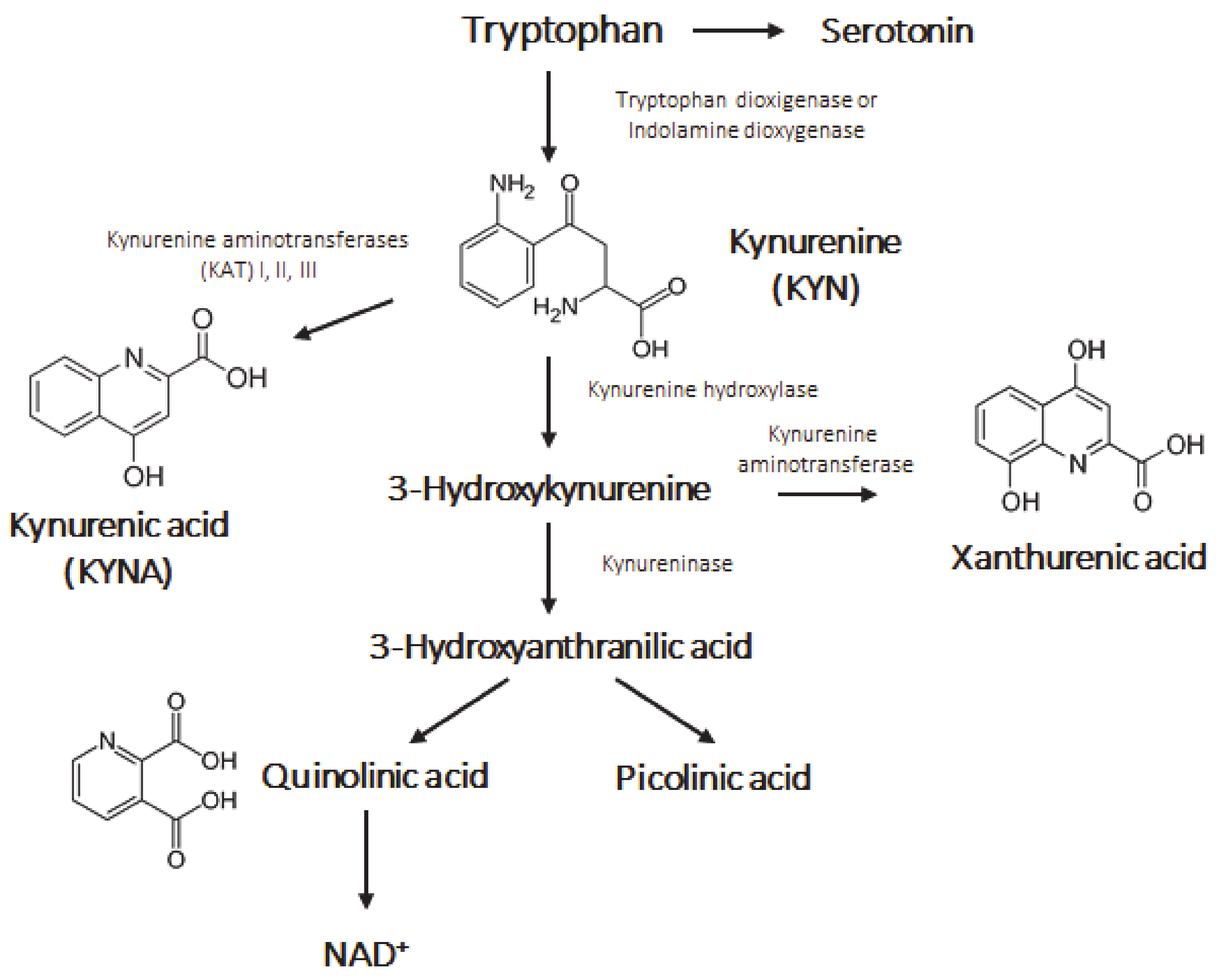 Pharmaceutics 13 00061 g001