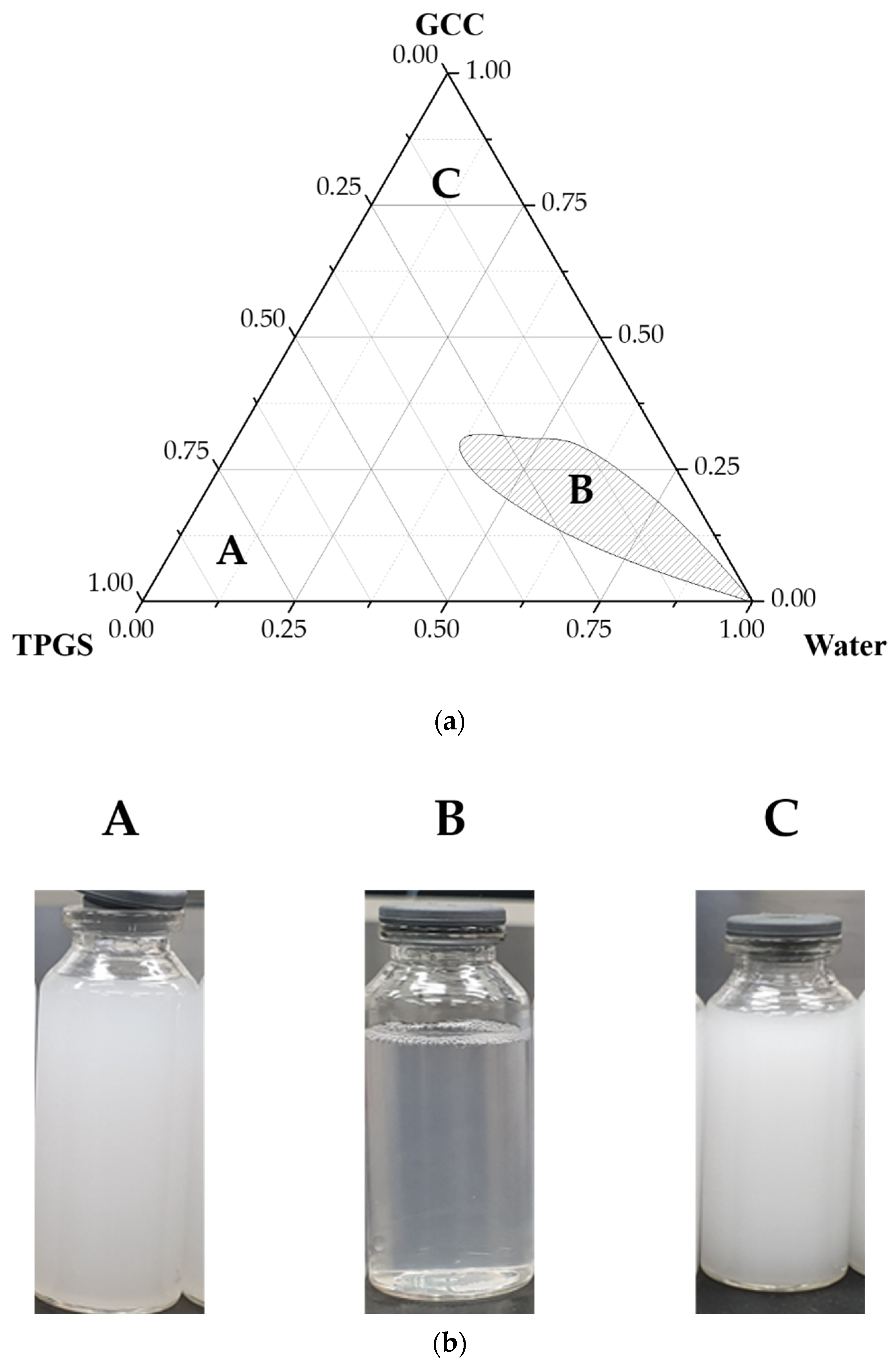 Pharmaceutics 13 00063 g001