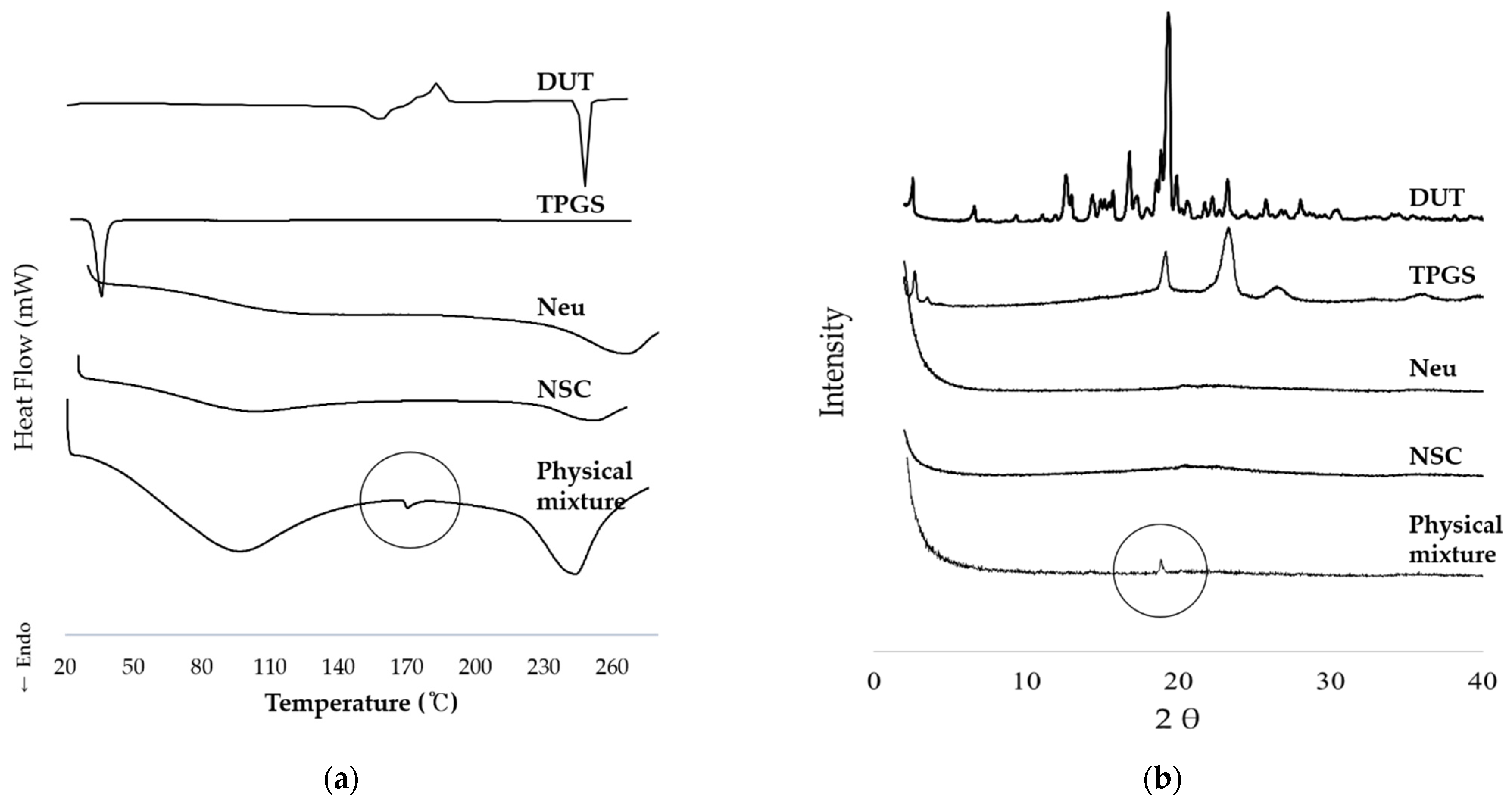 Pharmaceutics 13 00063 g003