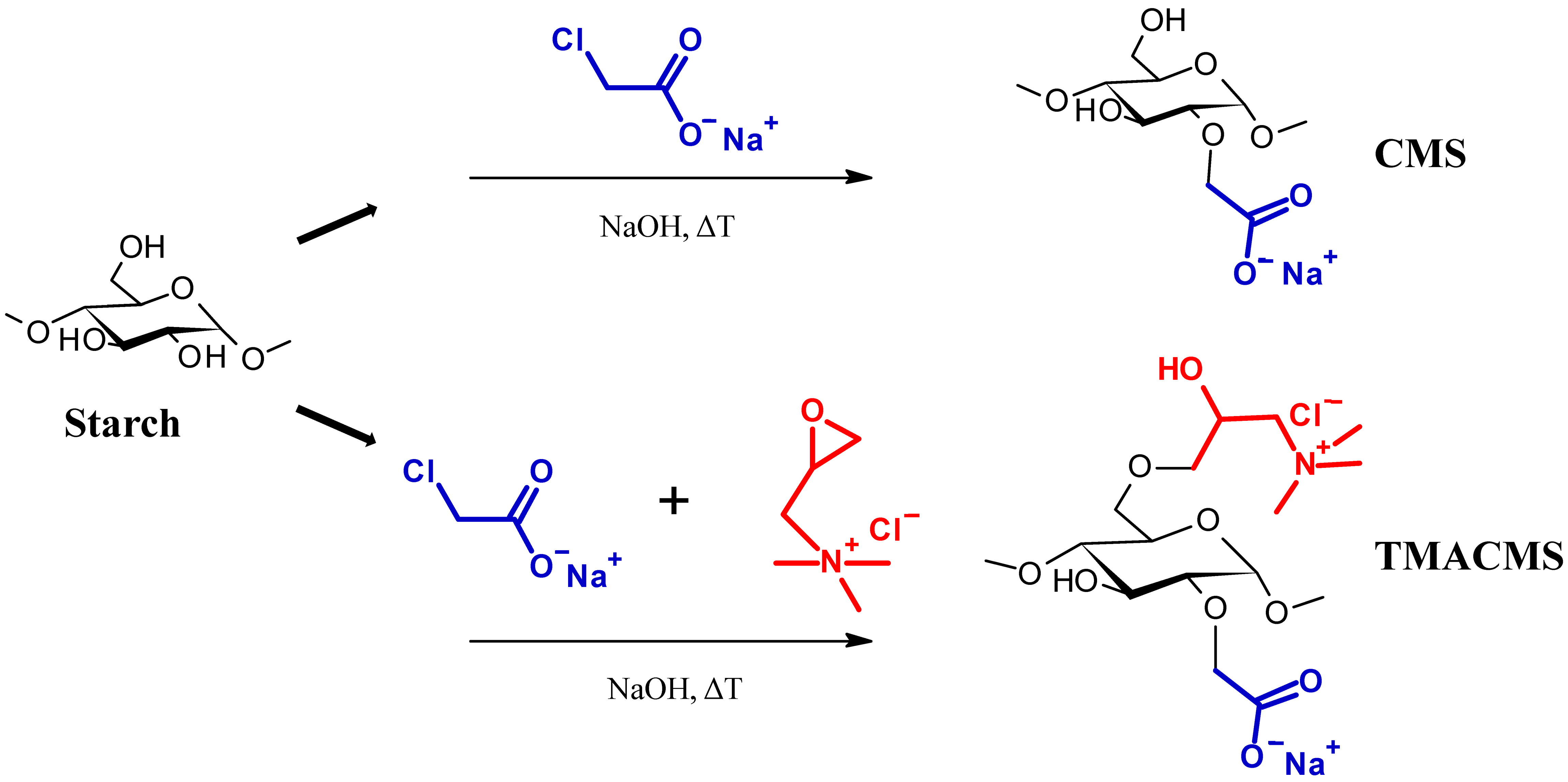 Pharmaceutics 13 00069 g001