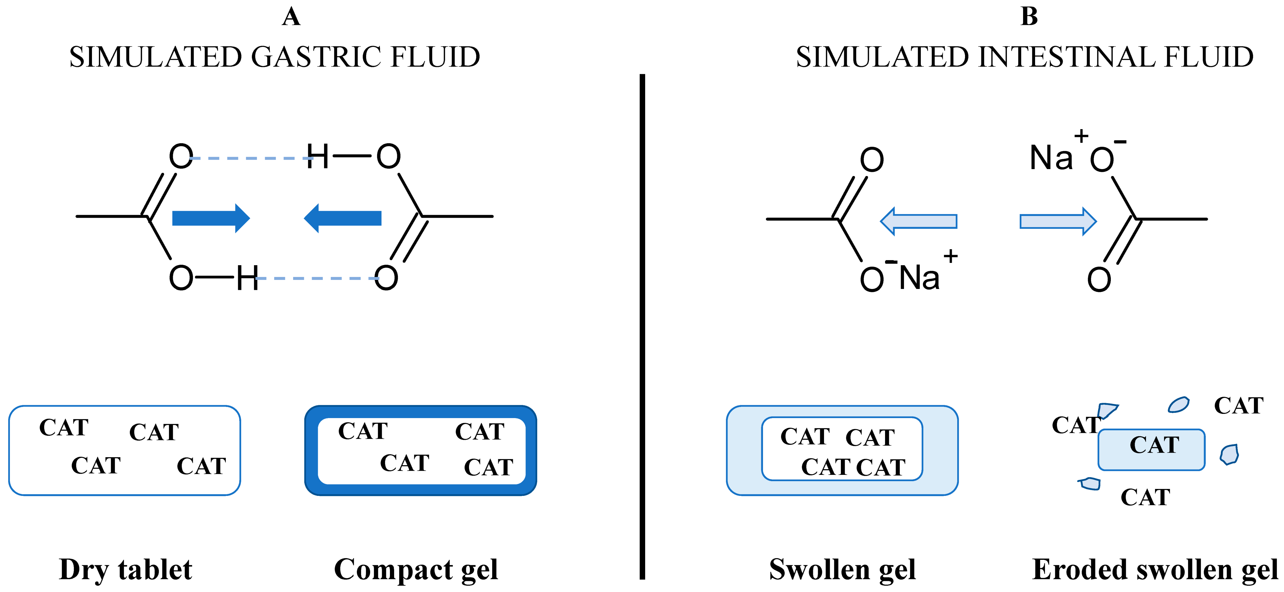 Pharmaceutics 13 00069 g002