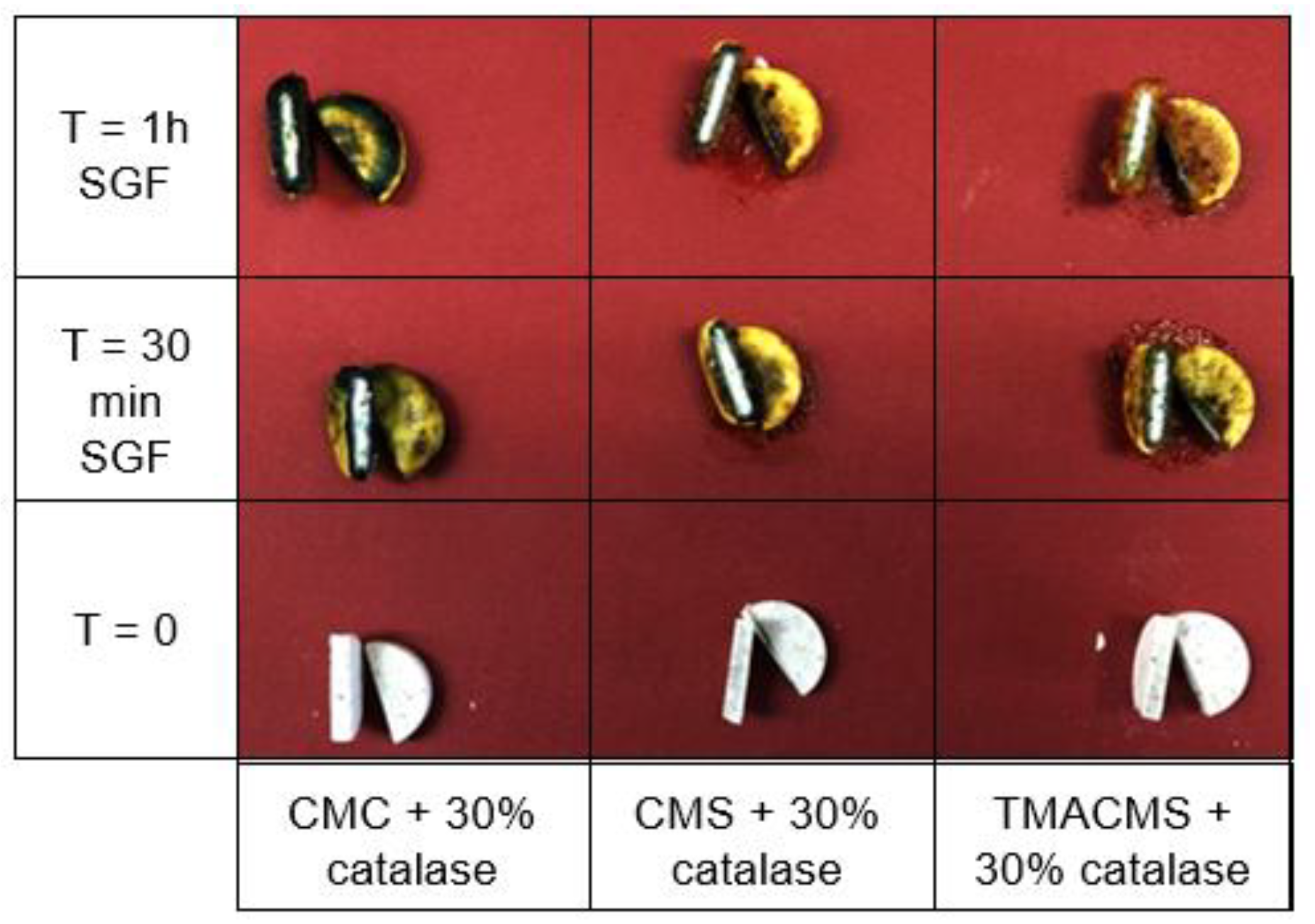 Pharmaceutics 13 00069 g005