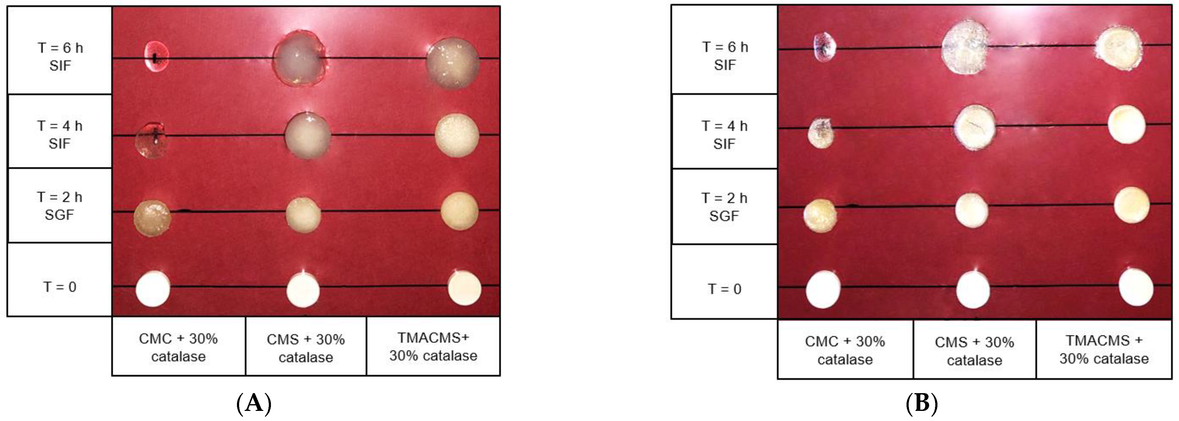 Pharmaceutics 13 00069 g006