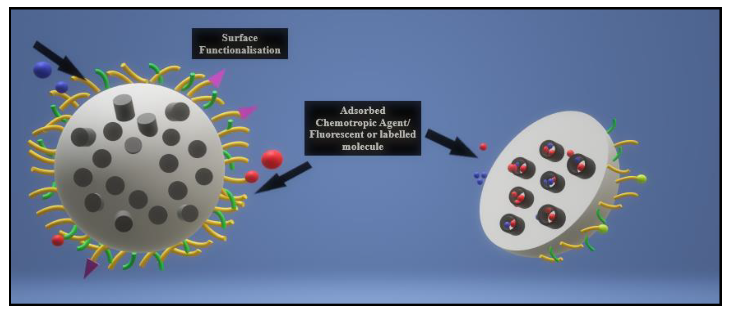 Pharmaceutics 13 00071 g002 Pharmaceutics 13 00071 g002
