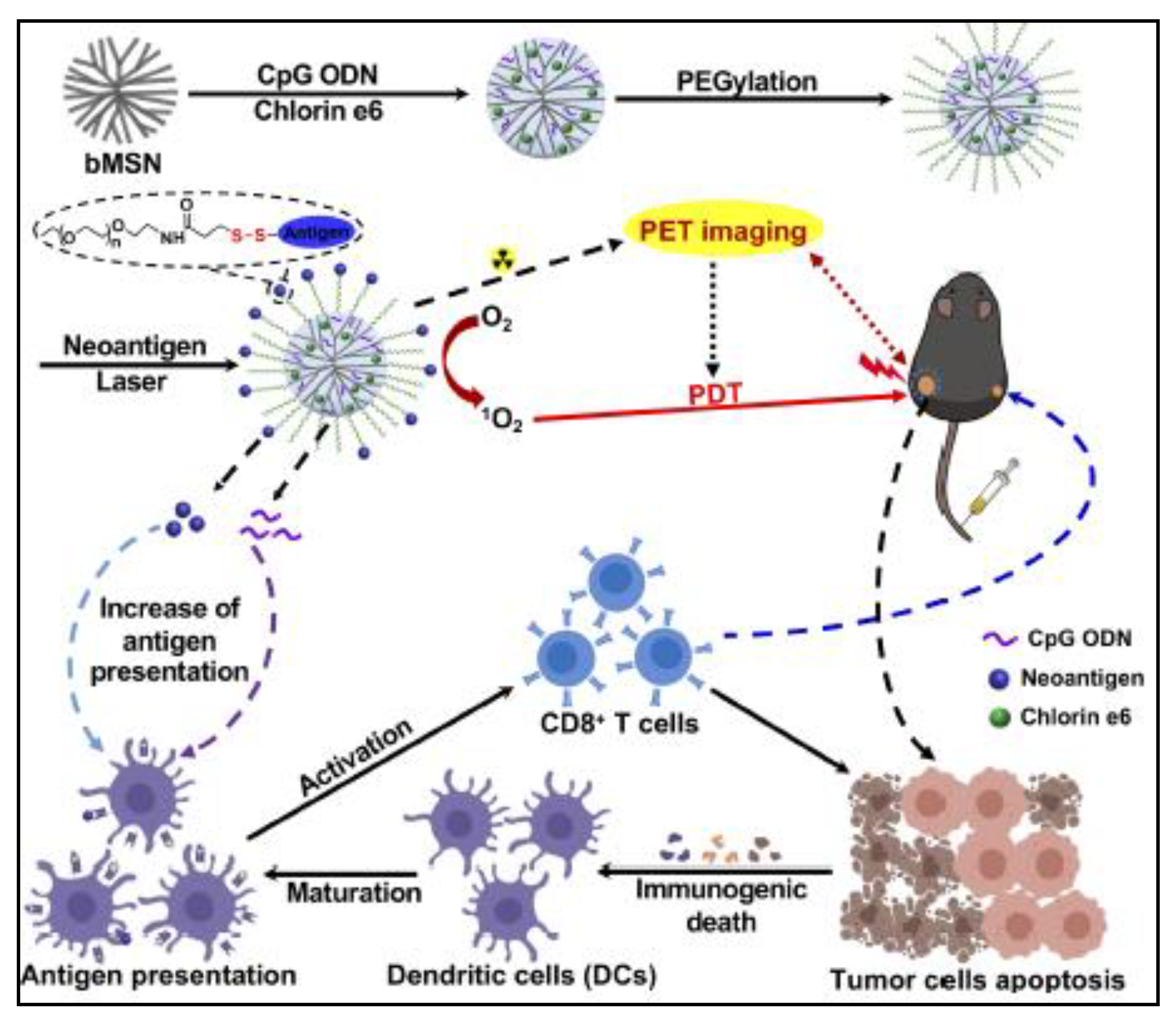 Pharmaceutics 13 00071 g004 Pharmaceutics 13 00071 g004
