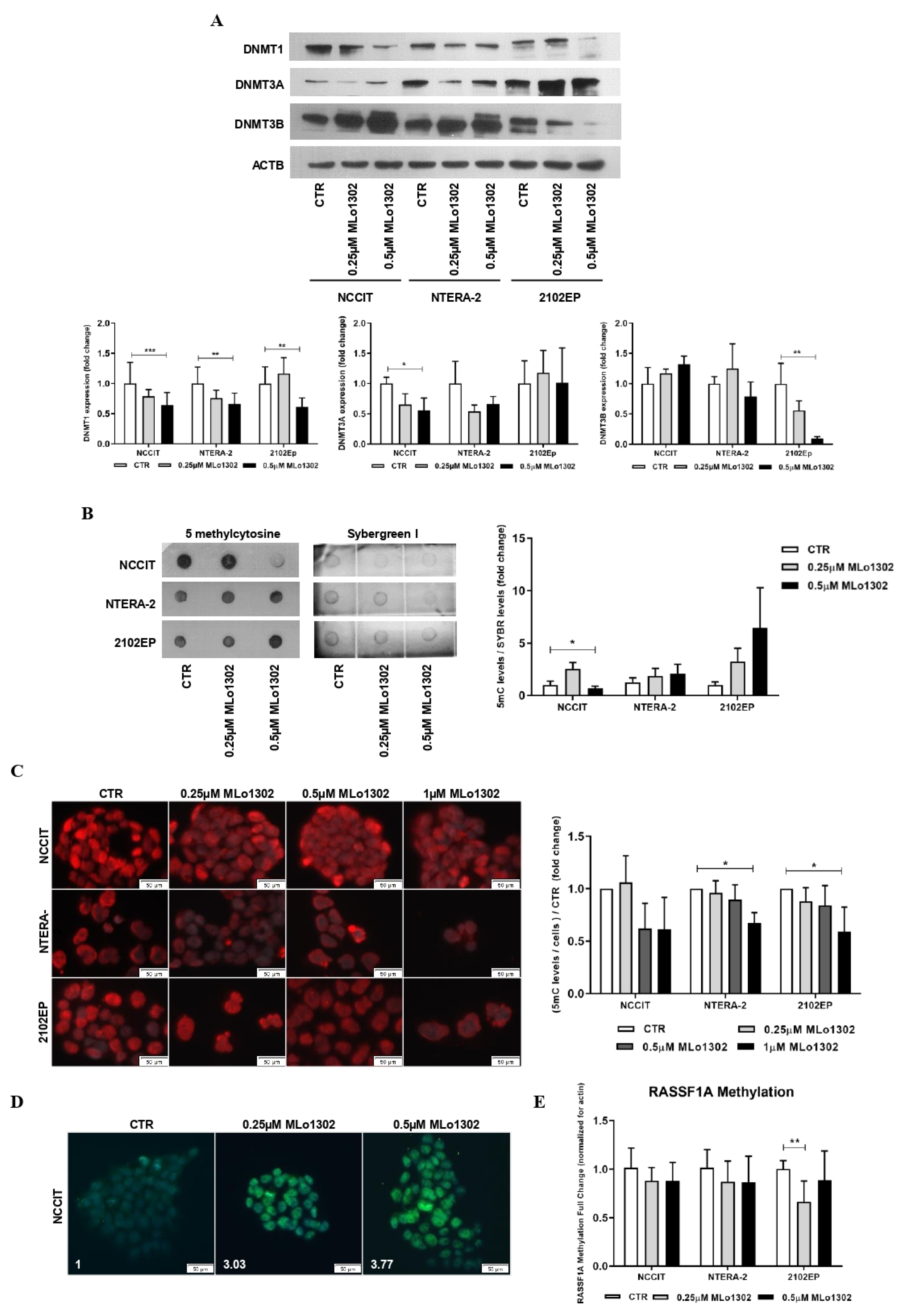 Pharmaceutics 13 00073 g004