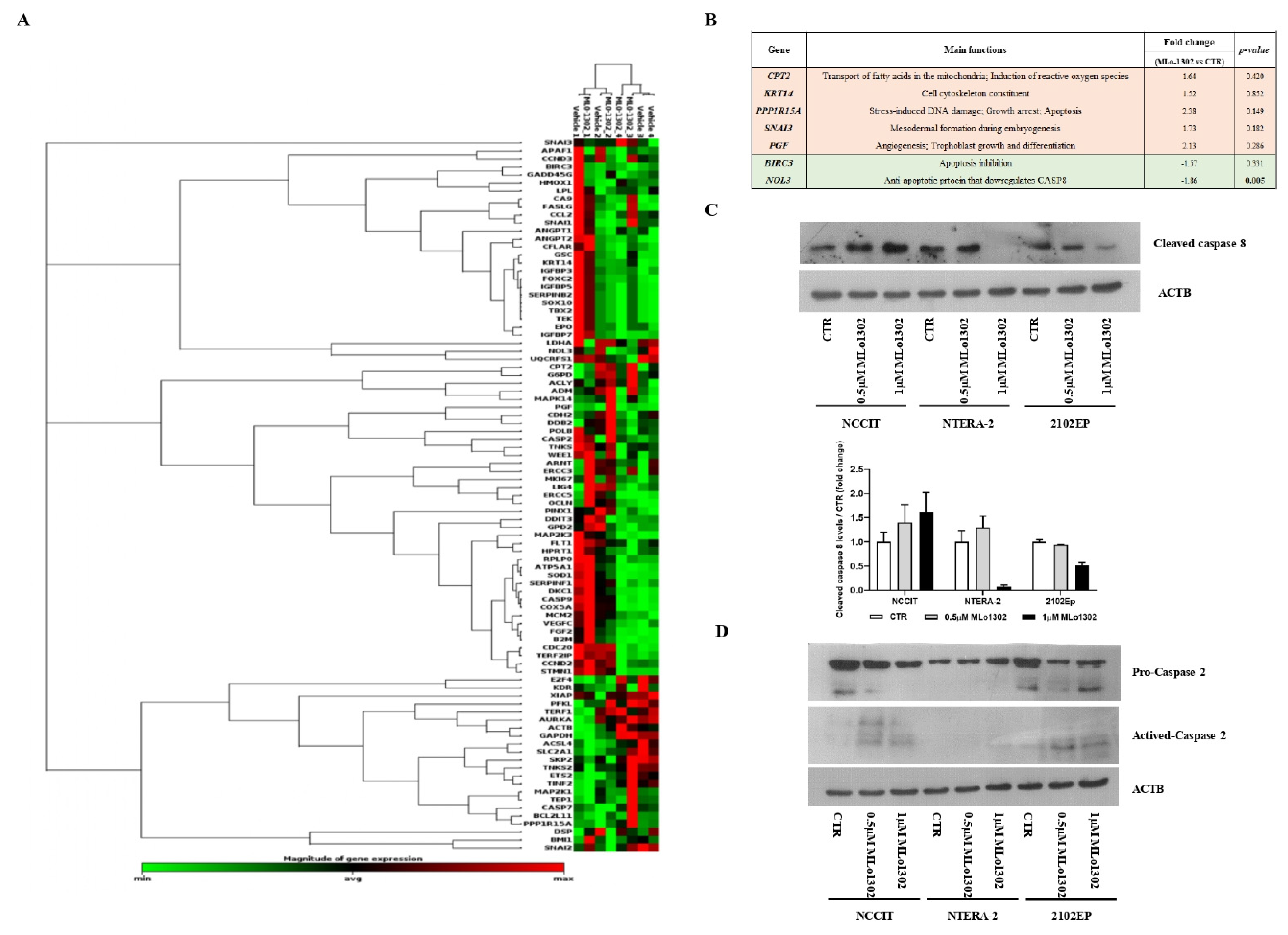 Pharmaceutics 13 00073 g005