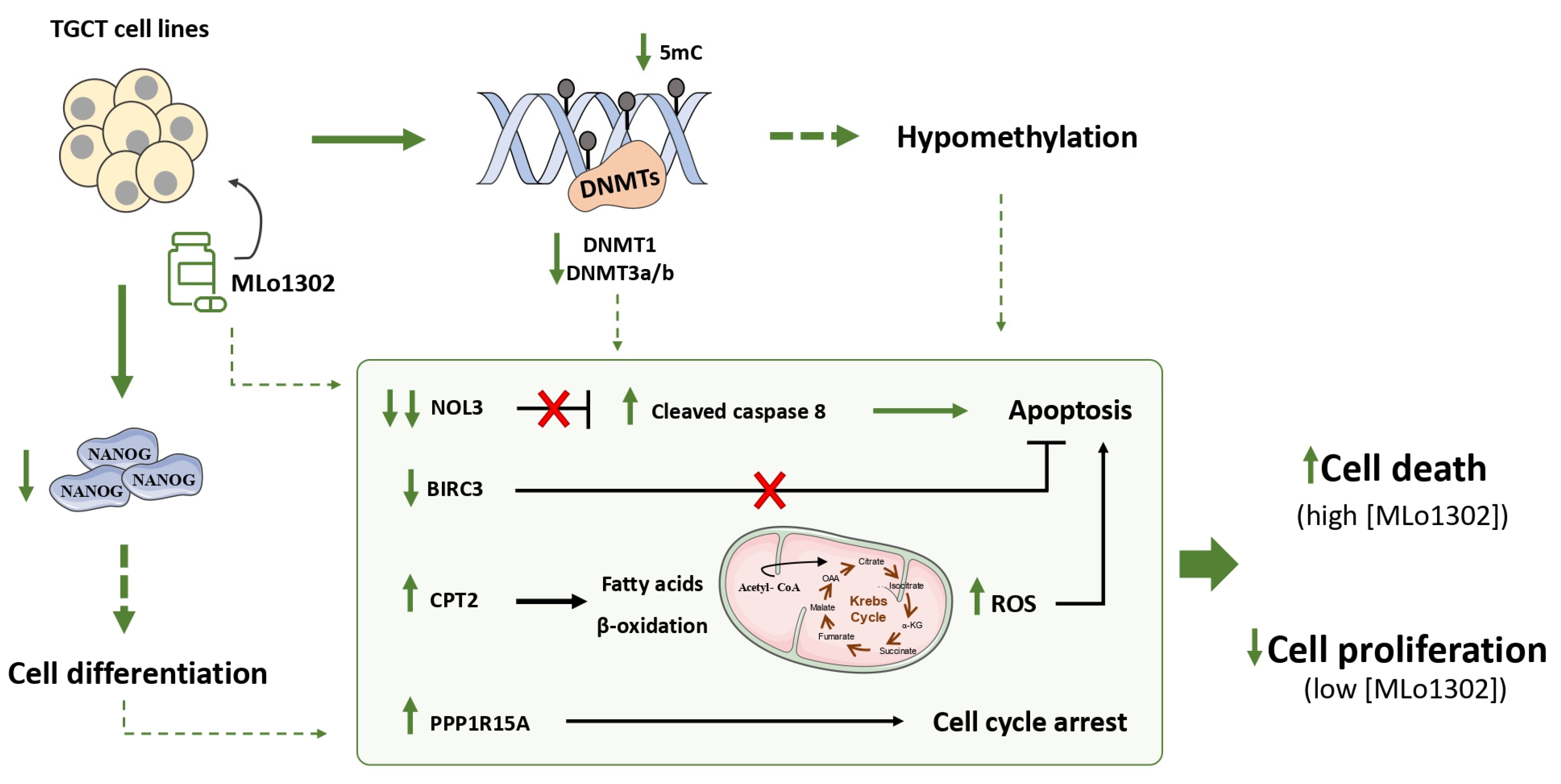 Pharmaceutics 13 00073 g007