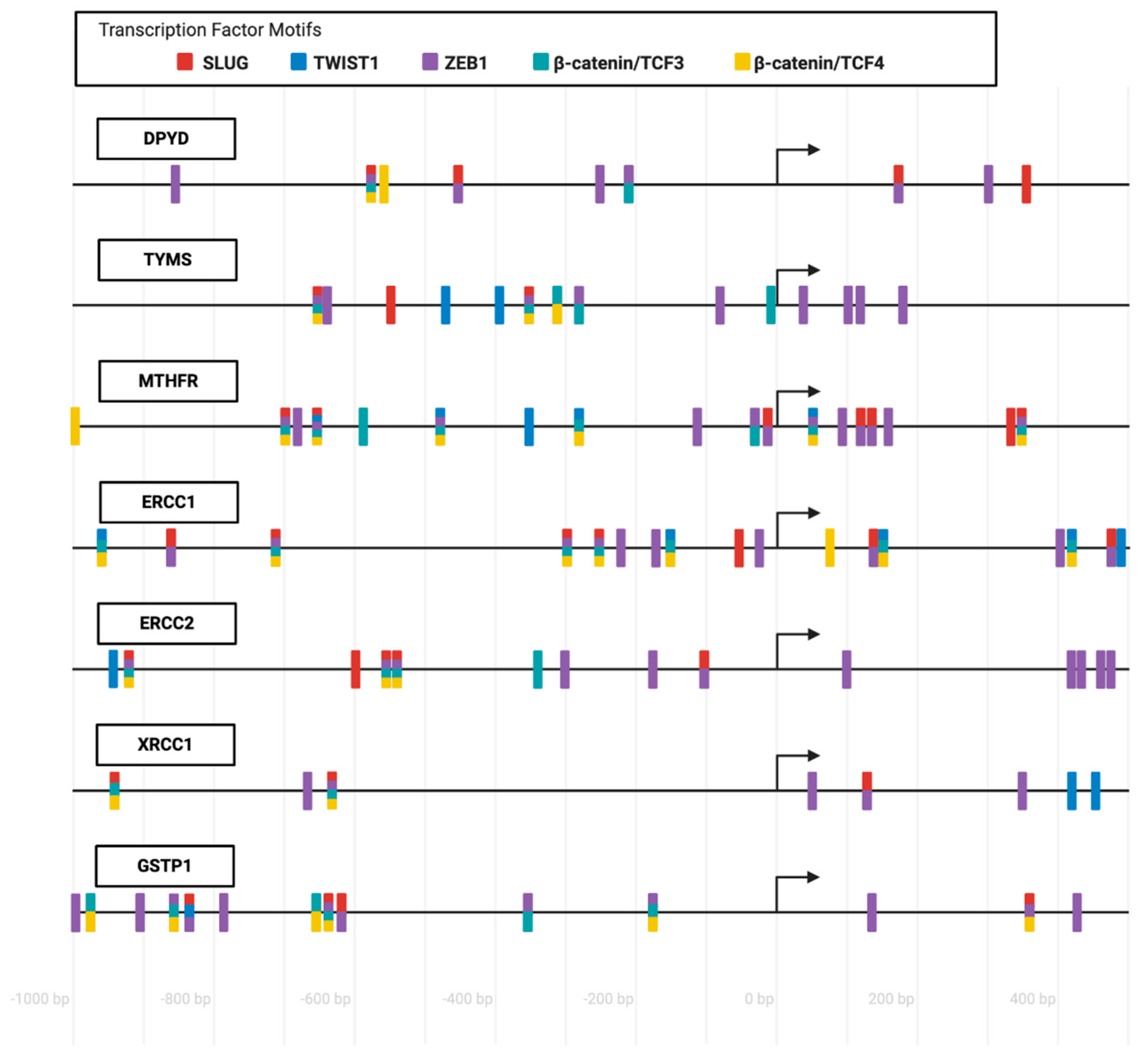 Pharmaceutics 13 00075 g003