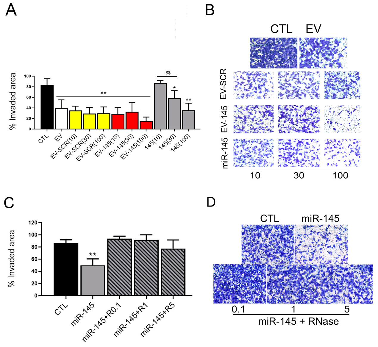 Pharmaceutics 13 00076 g001