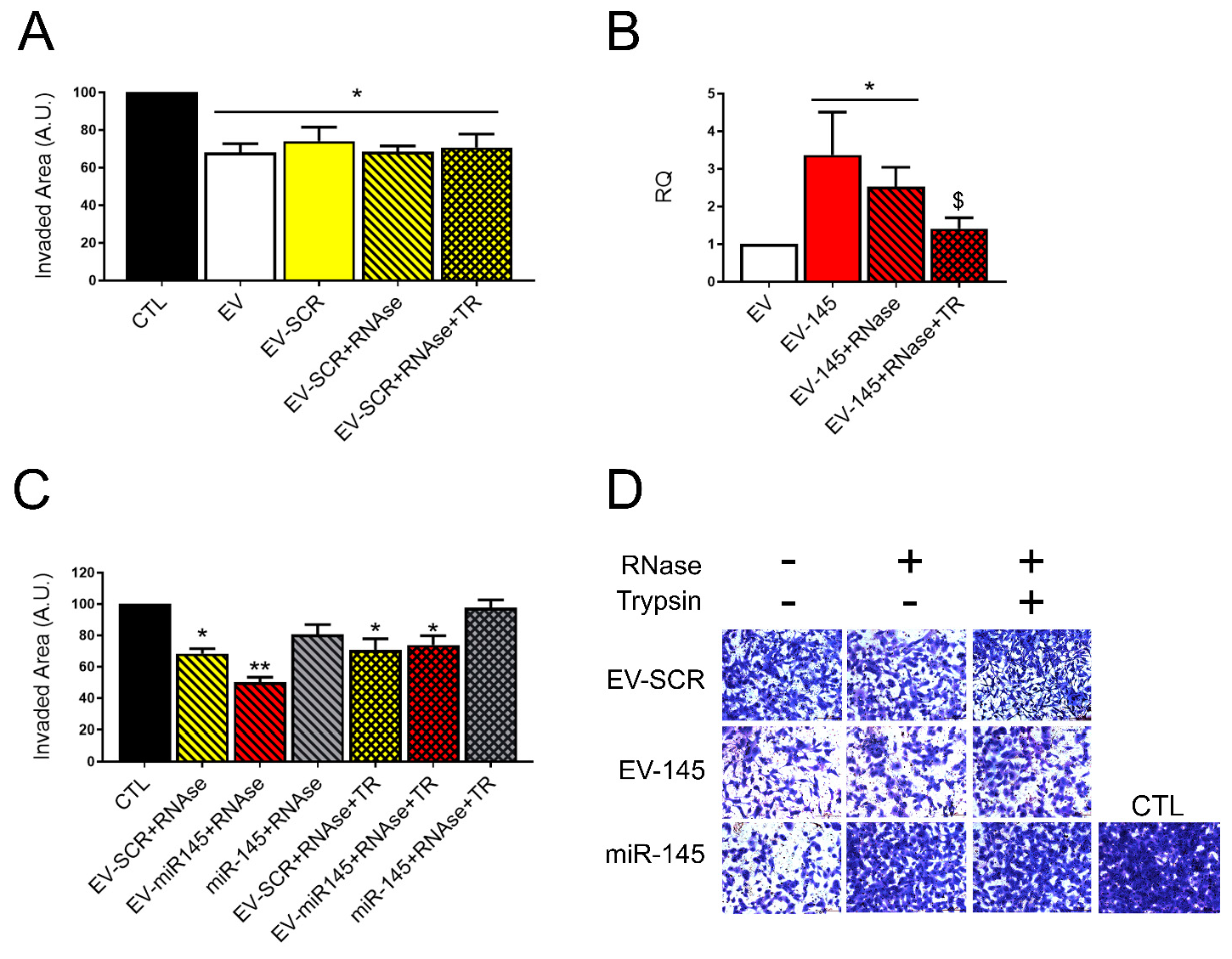 Pharmaceutics 13 00076 g003