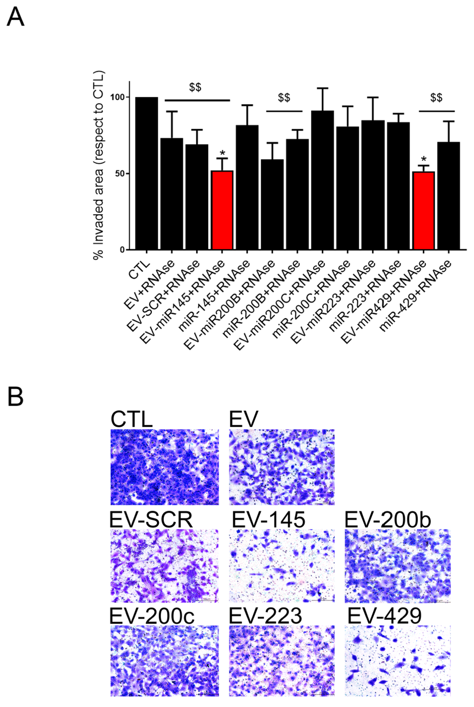 Pharmaceutics 13 00076 g004