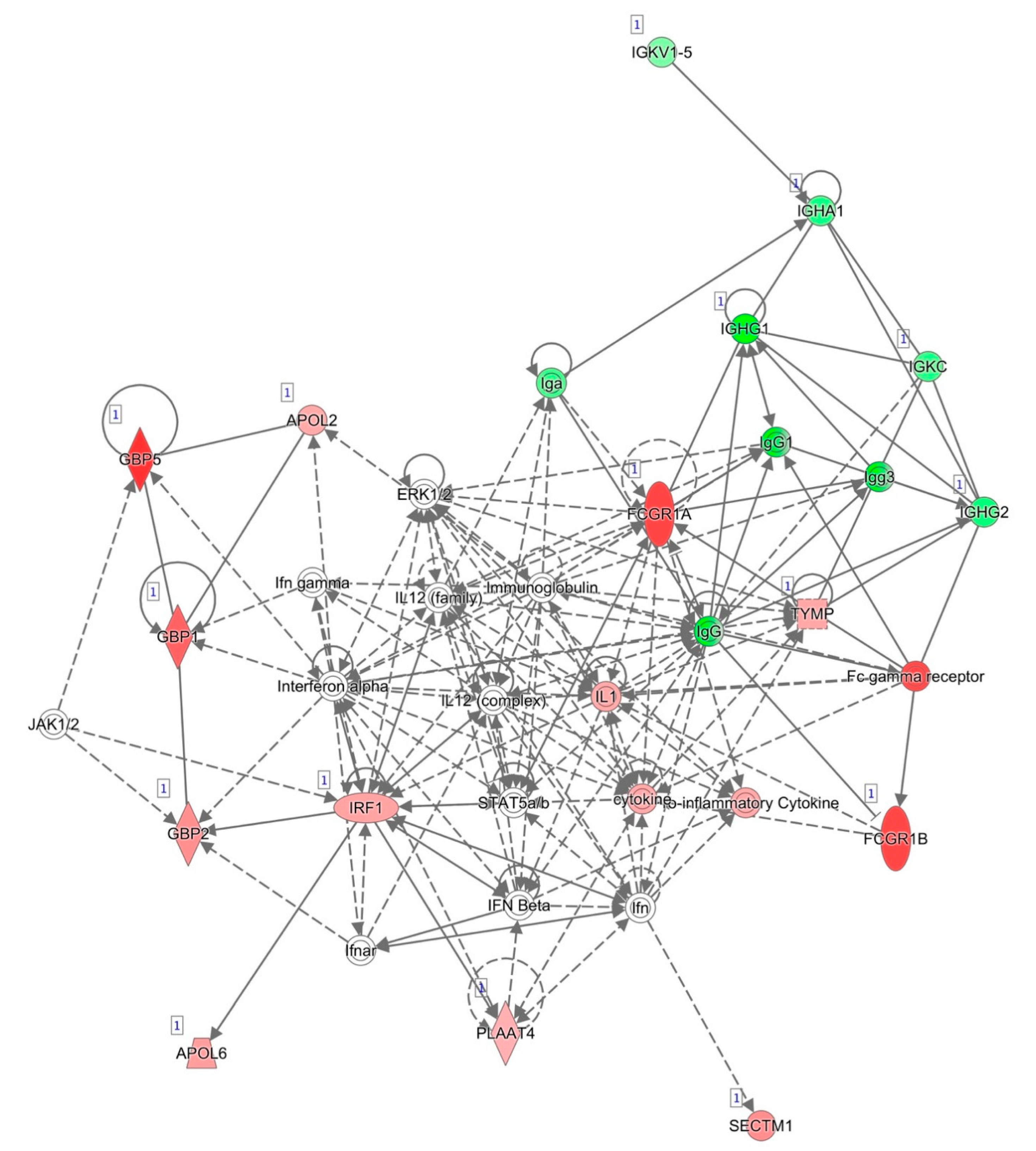 Pharmaceutics 13 00077 g002 Pharmaceutics 13 00077 g002