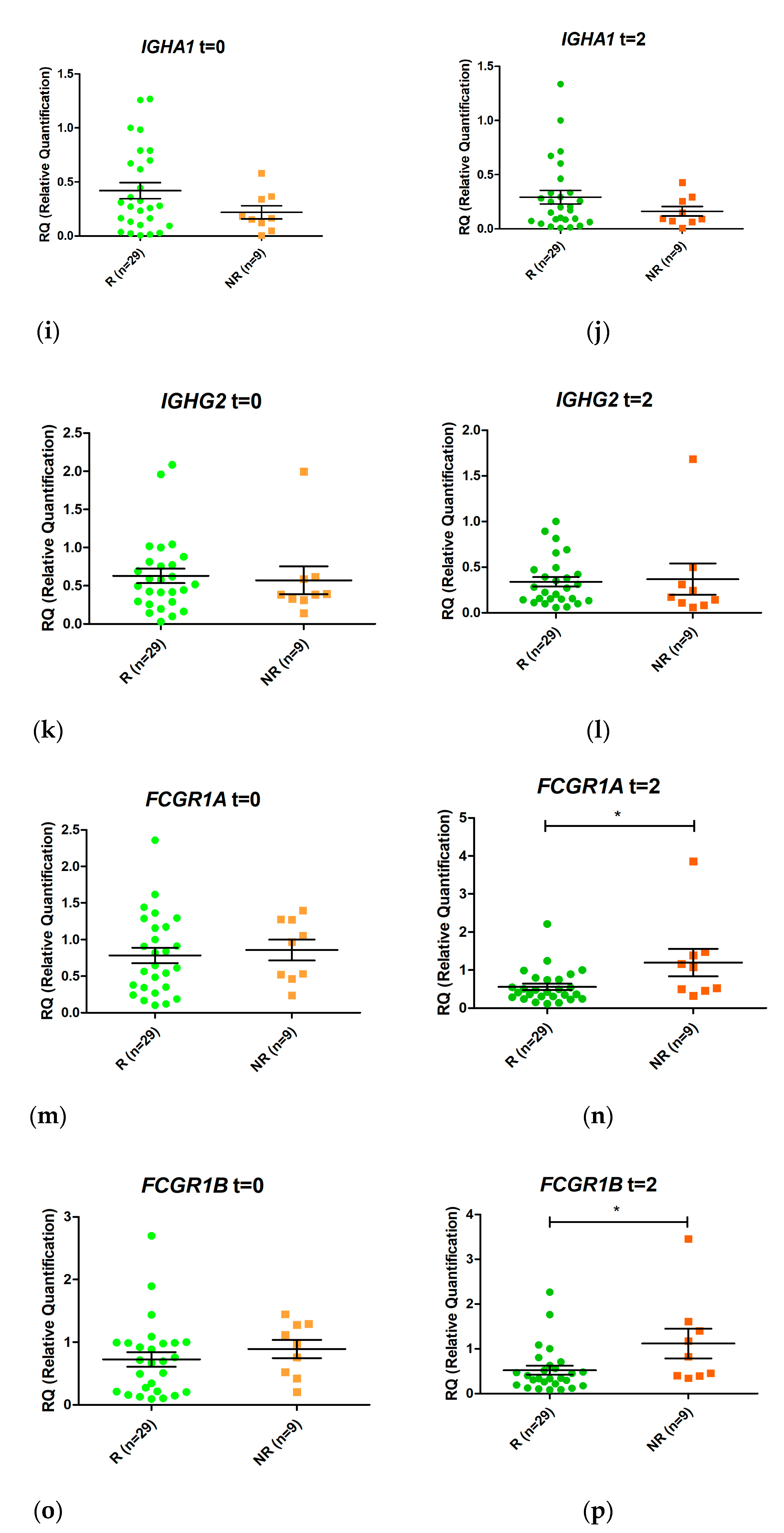 Pharmaceutics 13 00077 g003b Pharmaceutics 13 00077 g003b