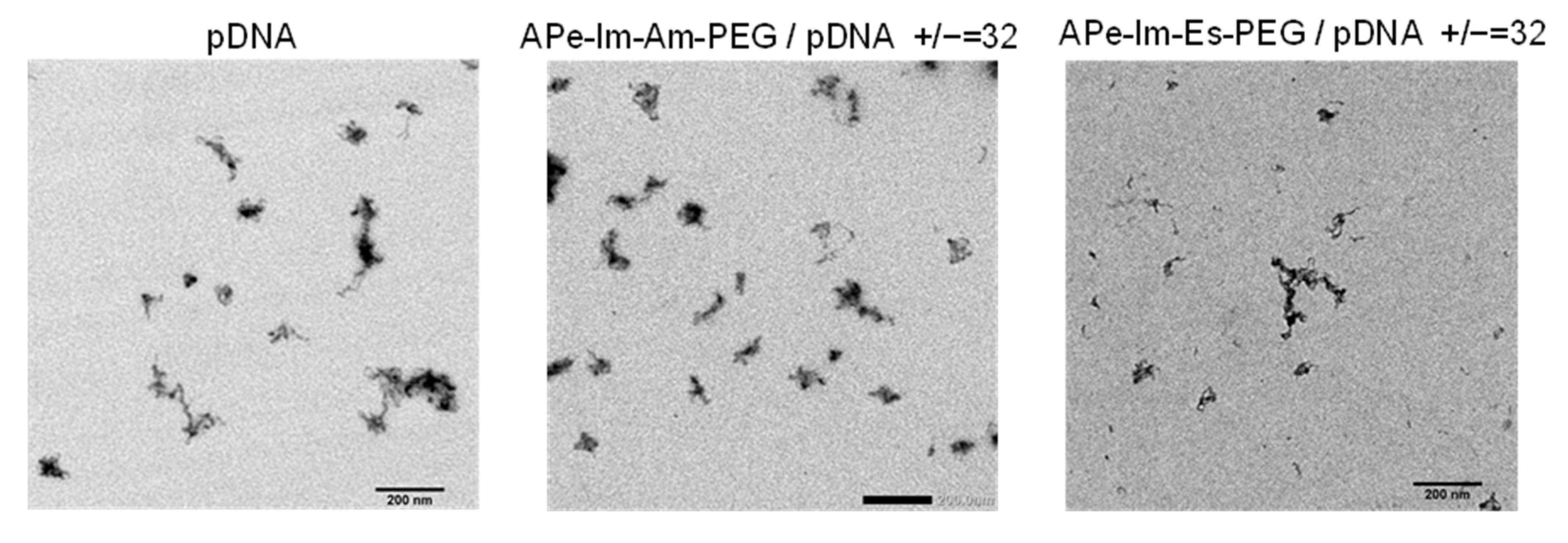 Pharmaceutics 13 00078 g003