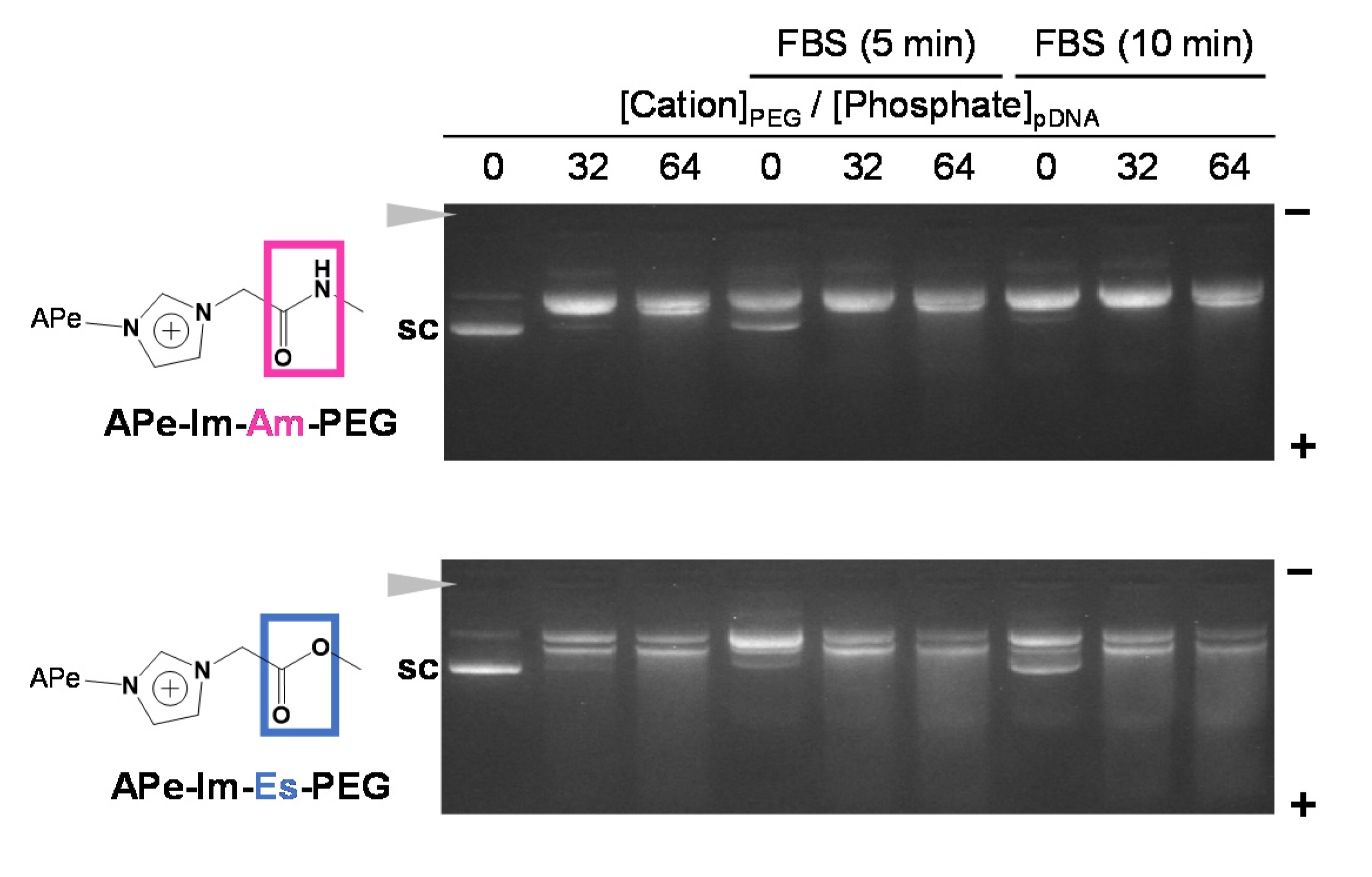 Pharmaceutics 13 00078 g004