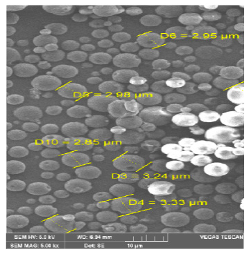 Pharmaceutics 13 00079 g002
