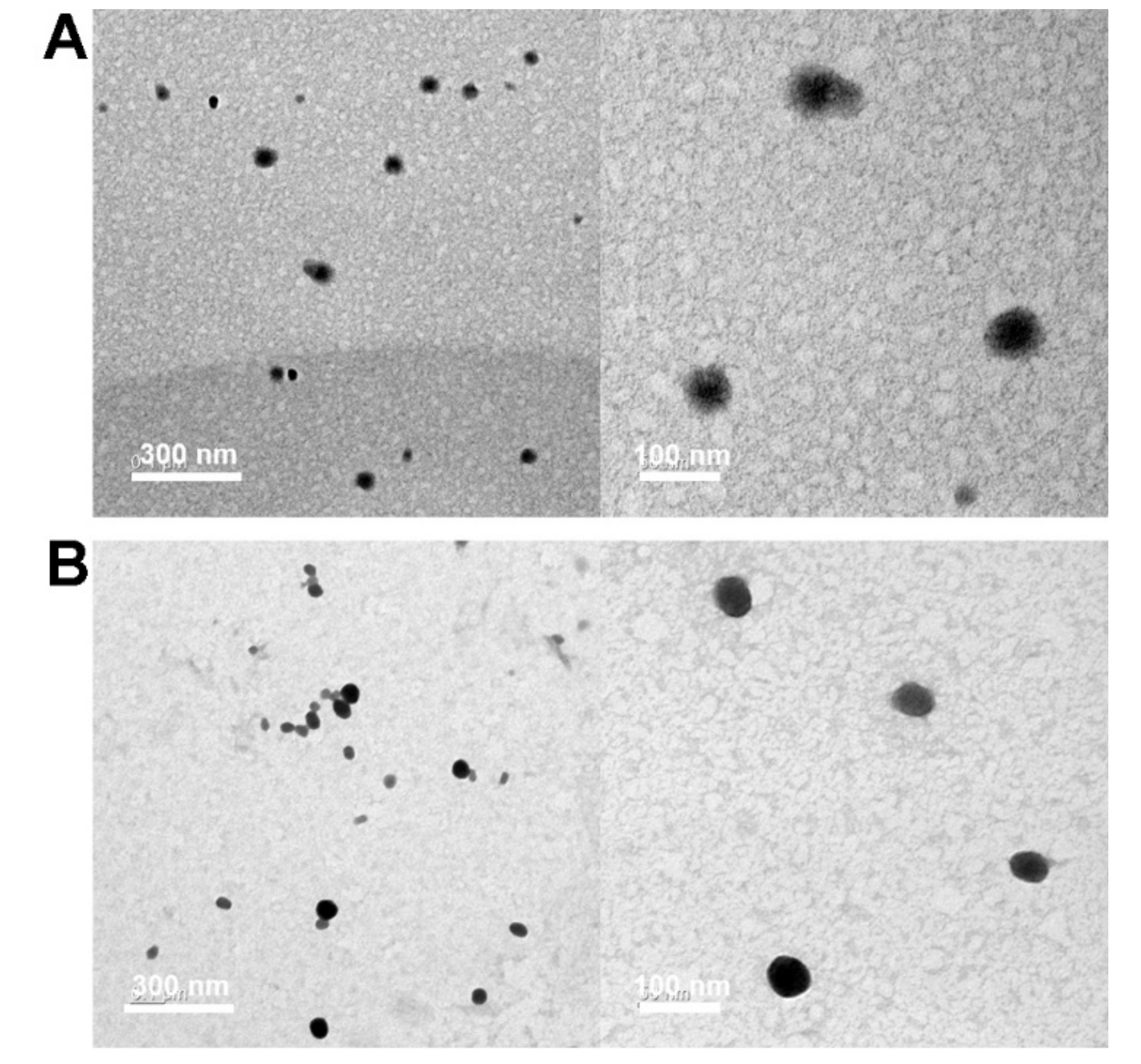 Pharmaceutics 13 00087 g004 Pharmaceutics 13 00087 g004