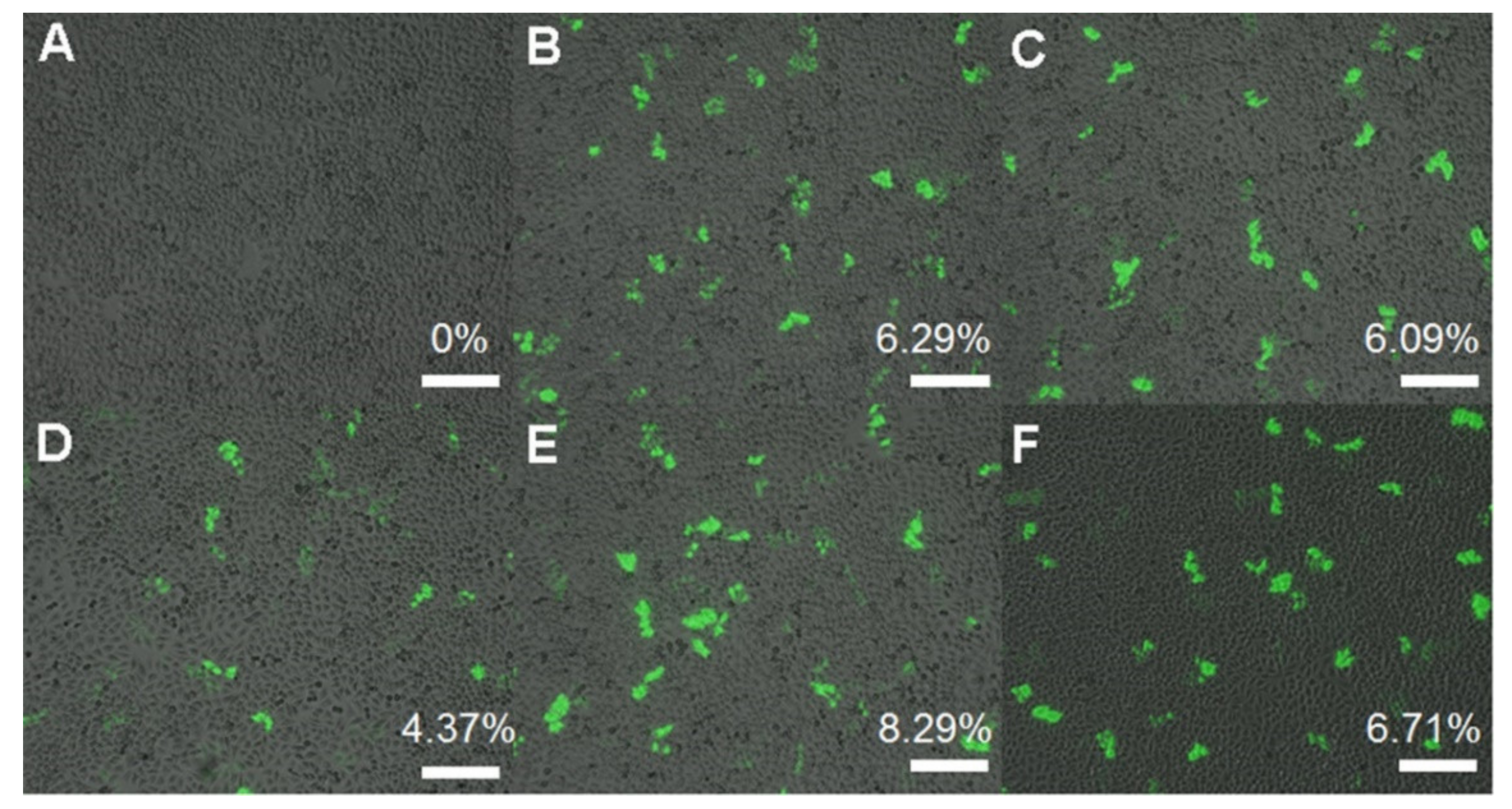 Pharmaceutics 13 00087 g007 Pharmaceutics 13 00087 g007