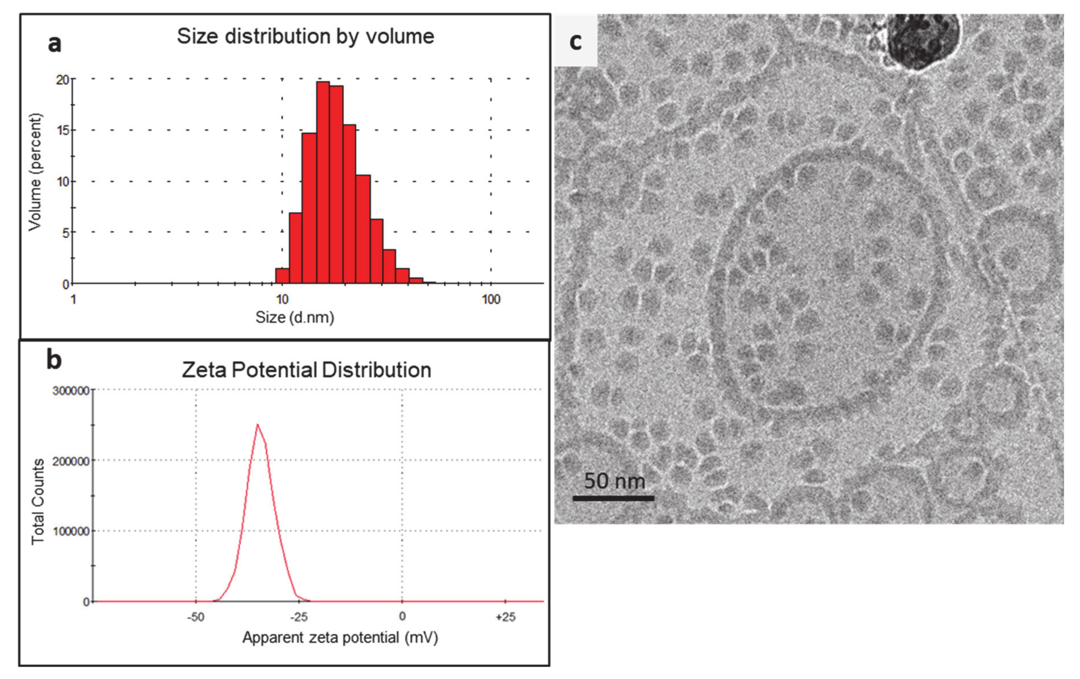 Pharmaceutics 13 00088 g003