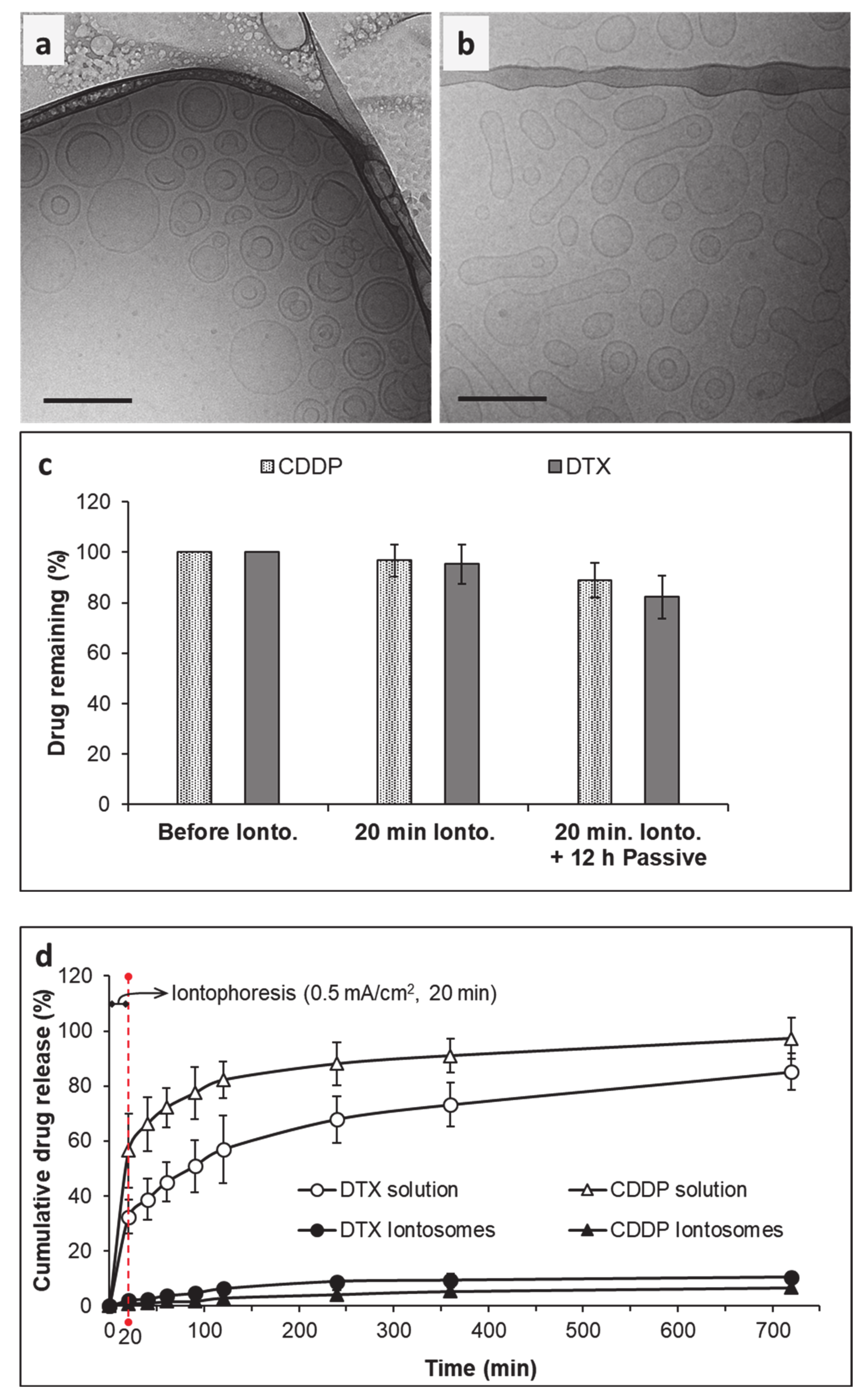 Pharmaceutics 13 00088 g005