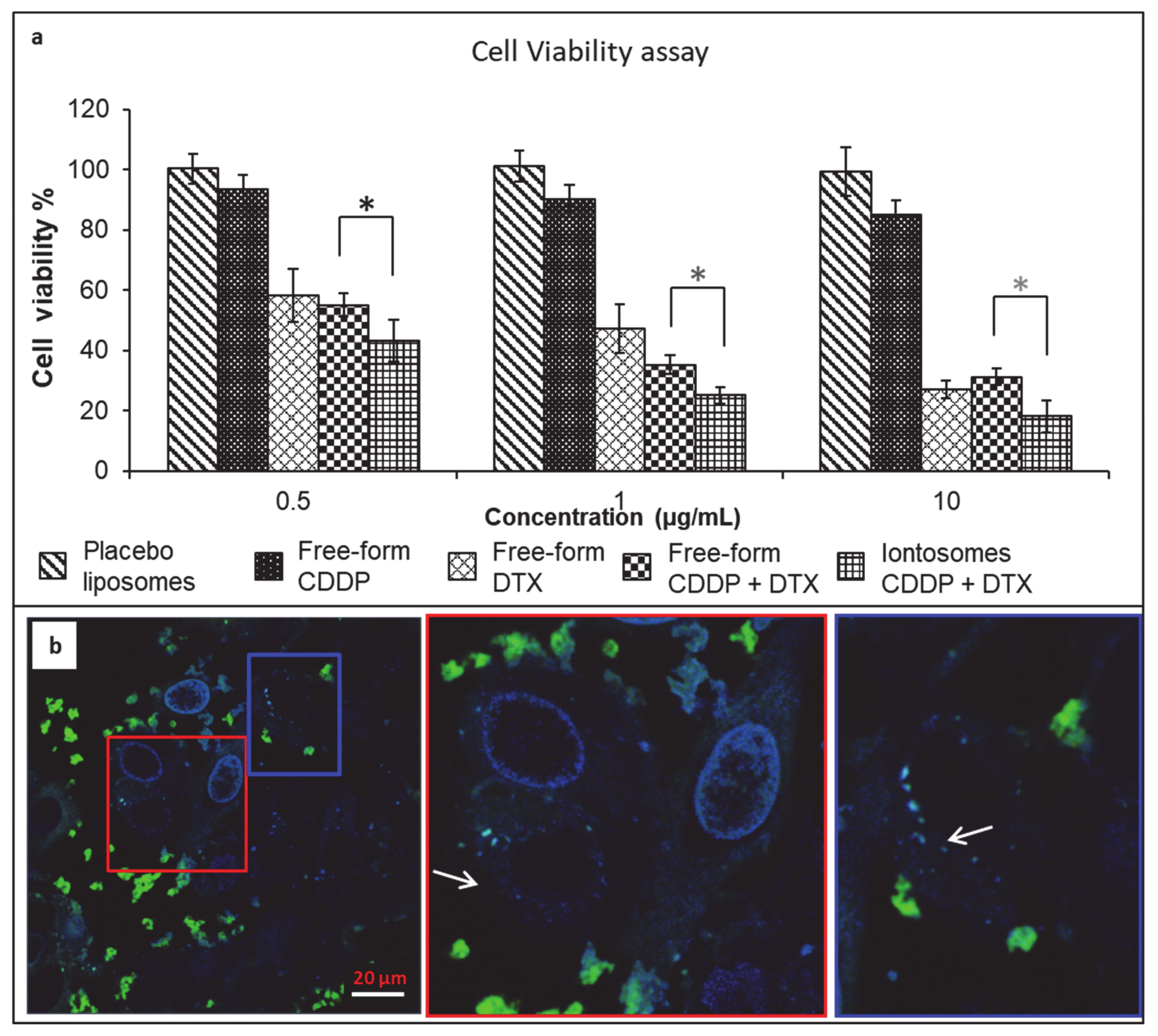 Pharmaceutics 13 00088 g006