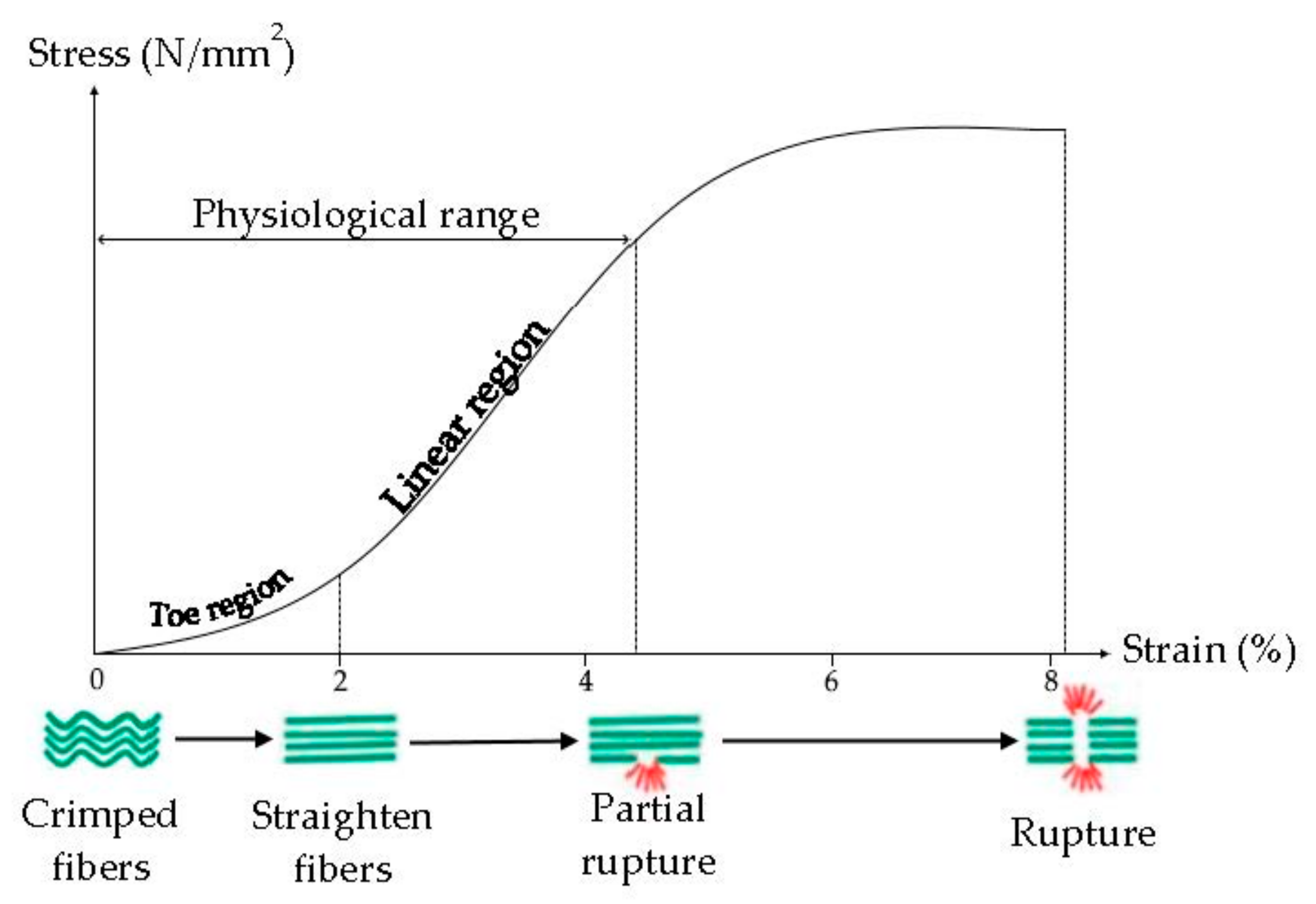 Pharmaceutics 13 00089 g004
