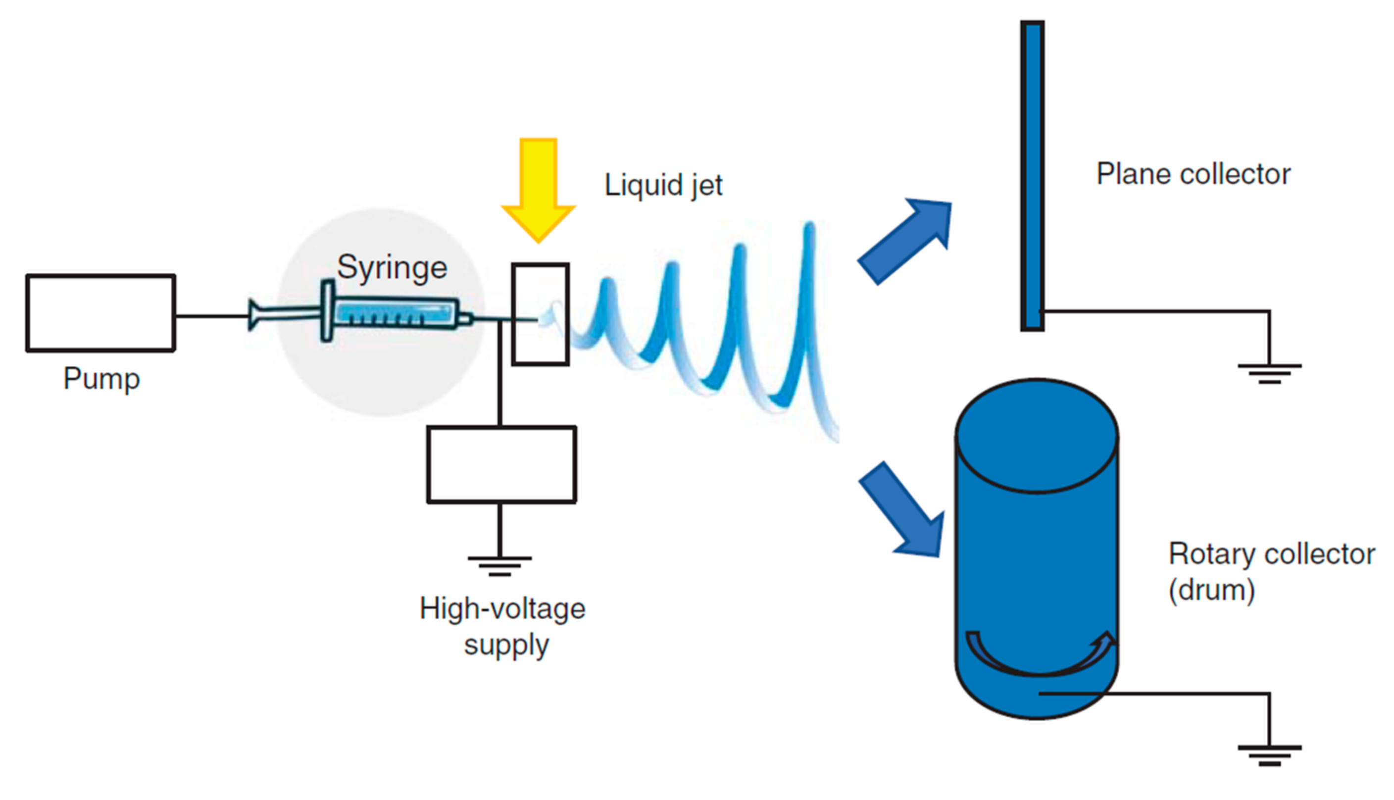 Pharmaceutics 13 00089 g005