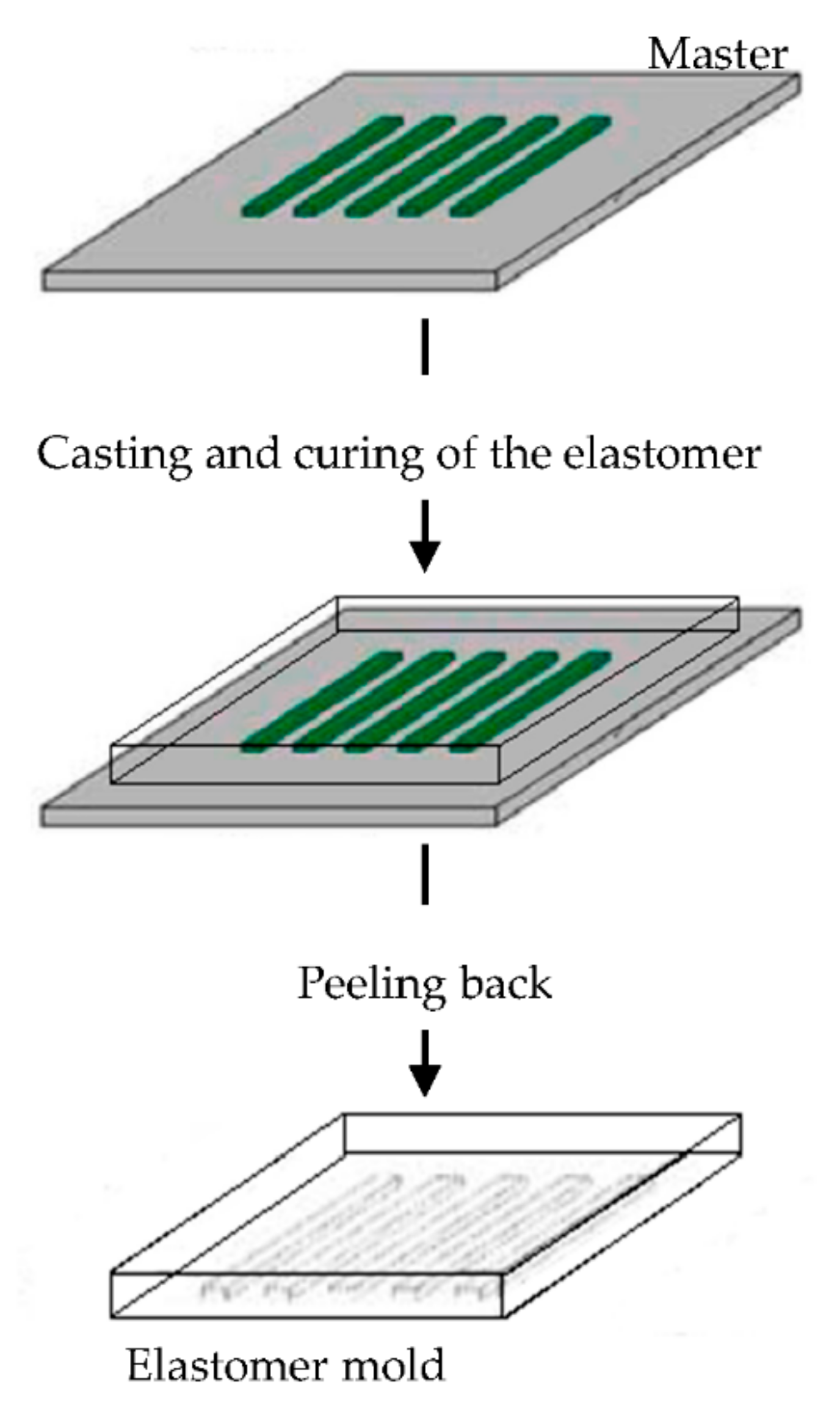 Pharmaceutics 13 00089 g006