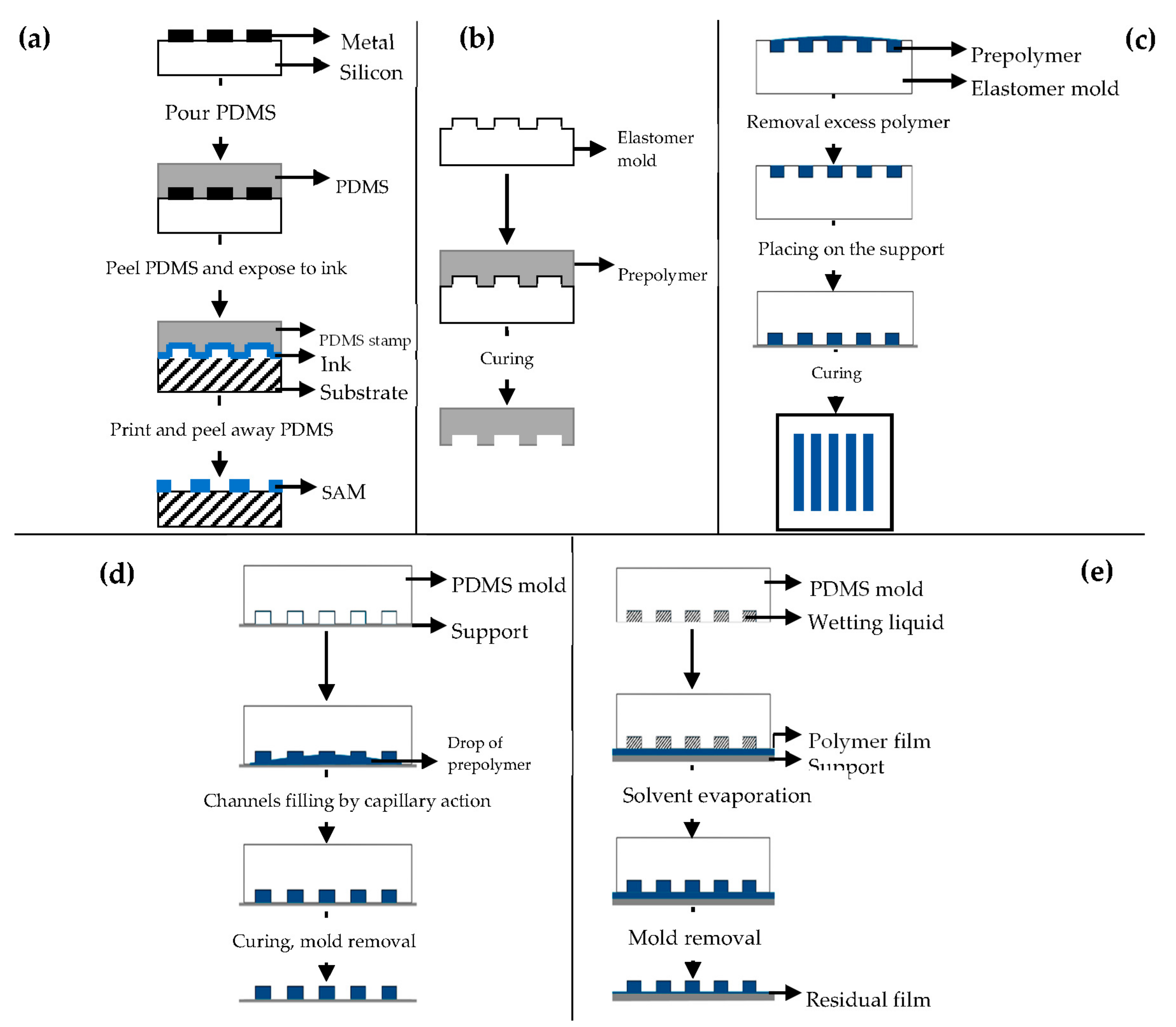 Pharmaceutics 13 00089 g007
