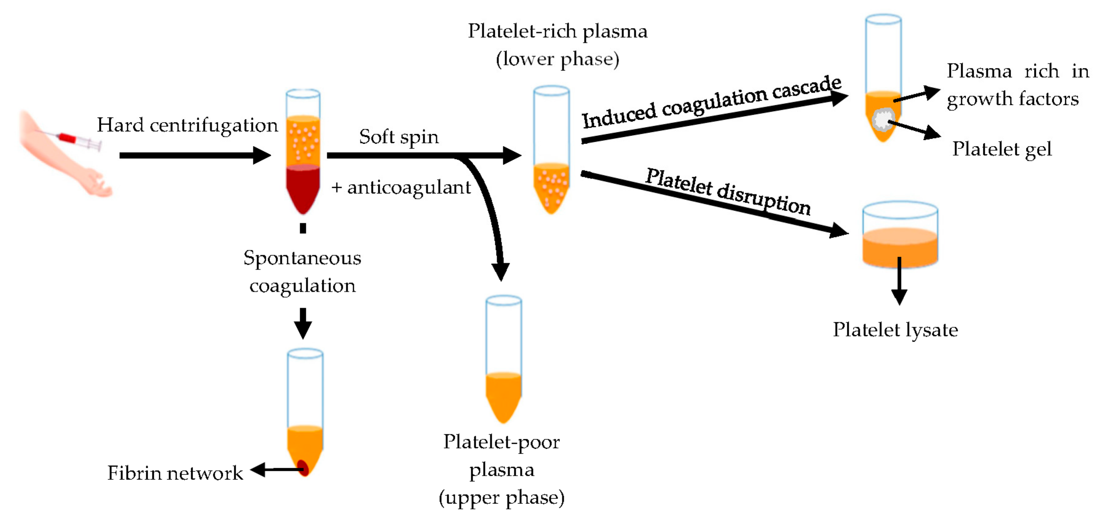 Pharmaceutics 13 00089 g008