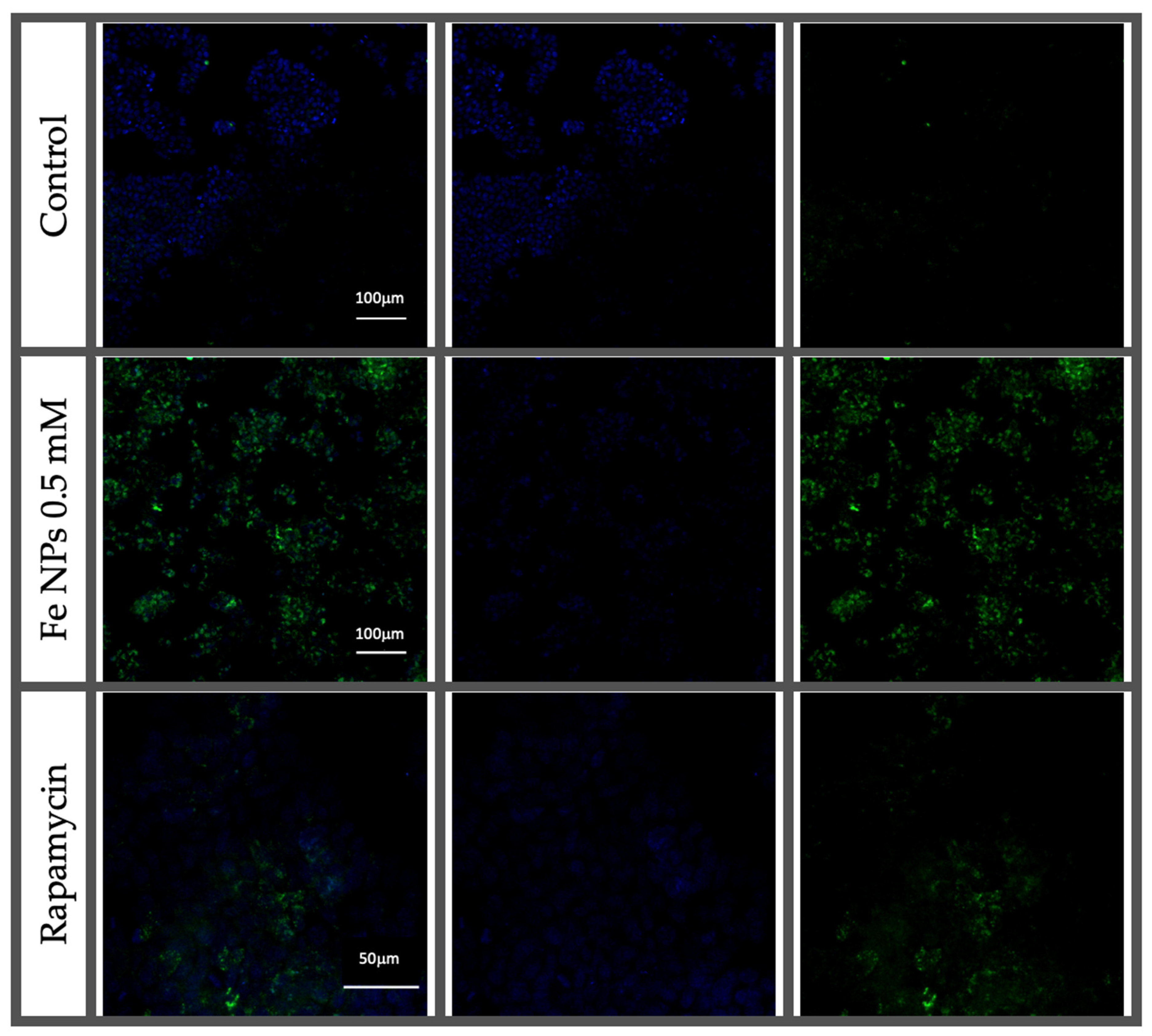 Pharmaceutics 13 00090 g008