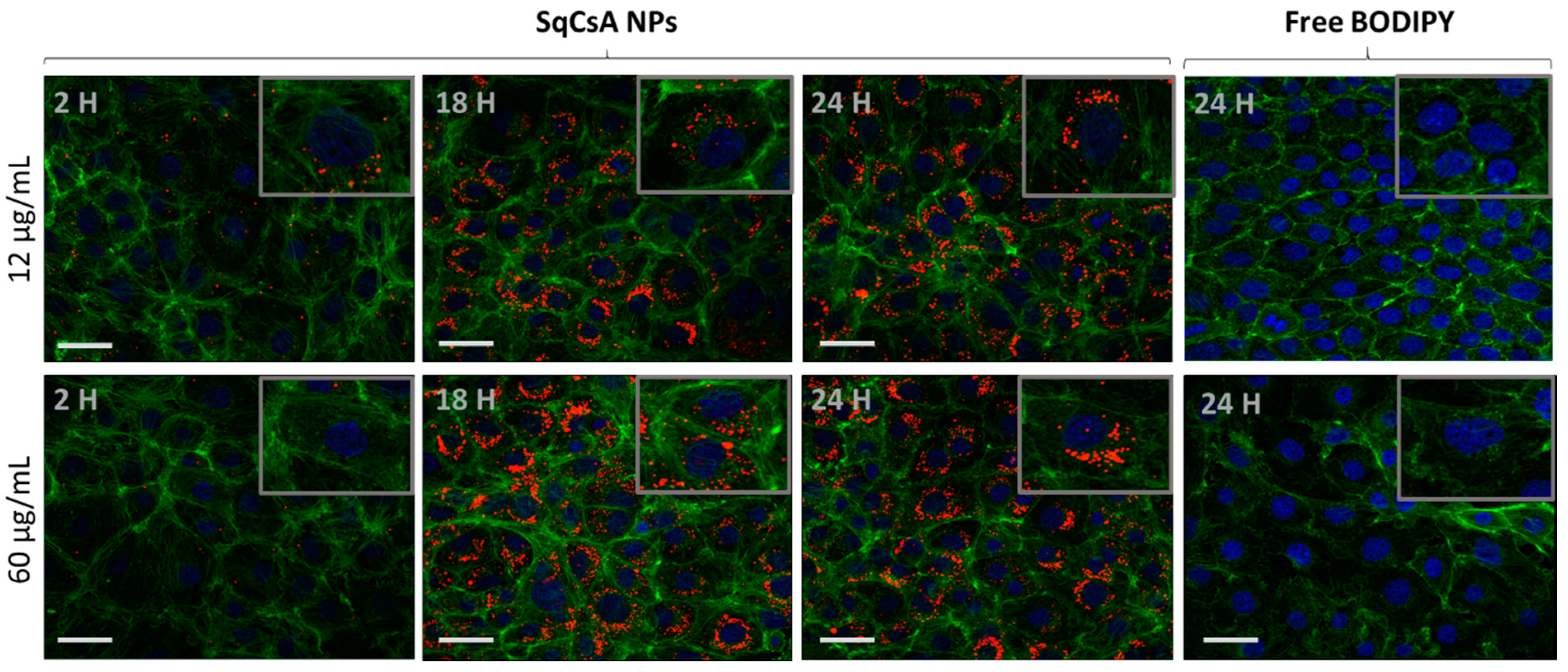 Pharmaceutics 13 00091 g007