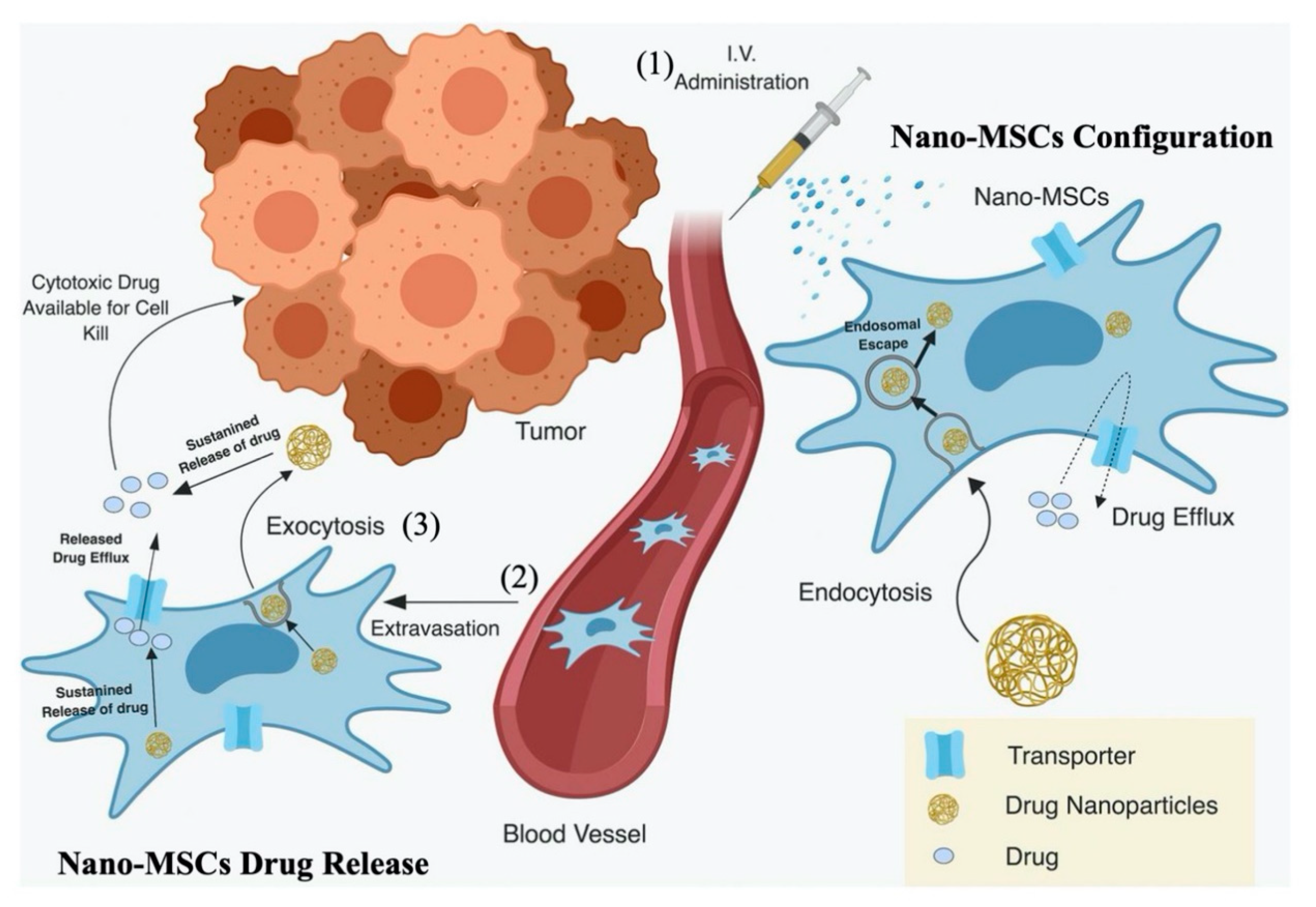 Pharmaceutics 13 00092 g001