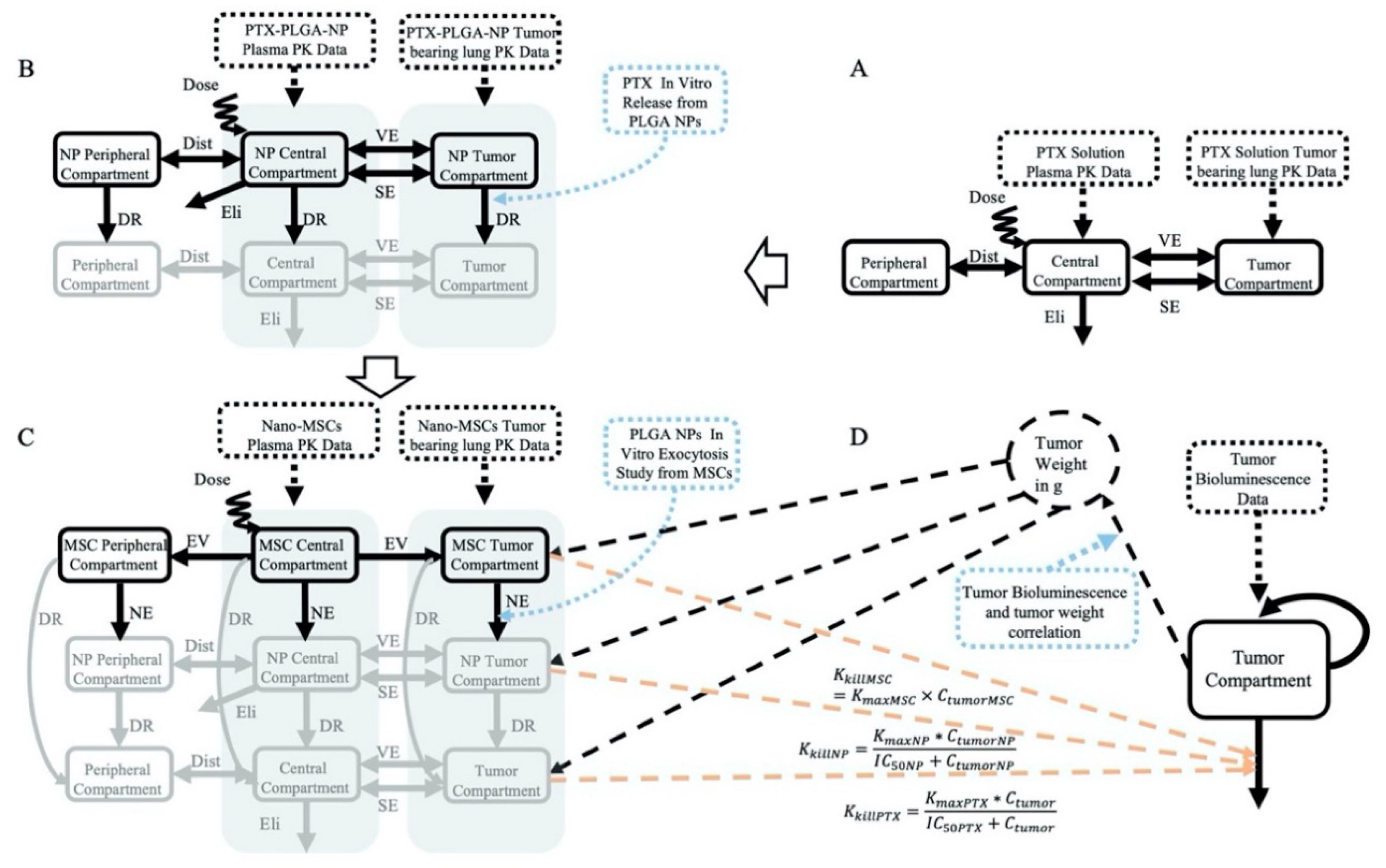 Pharmaceutics 13 00092 g002
