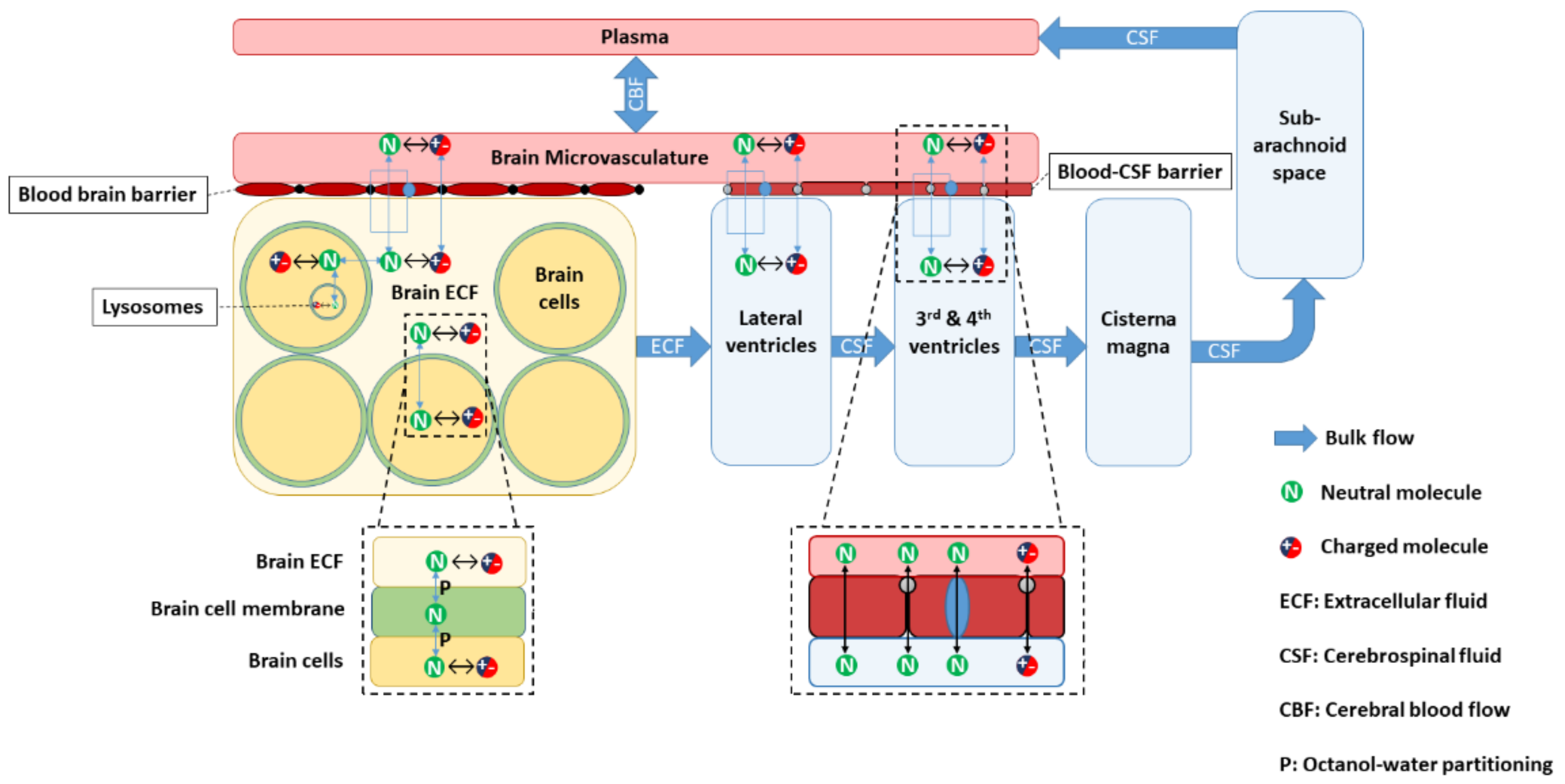 Pharmaceutics 13 00095 g001