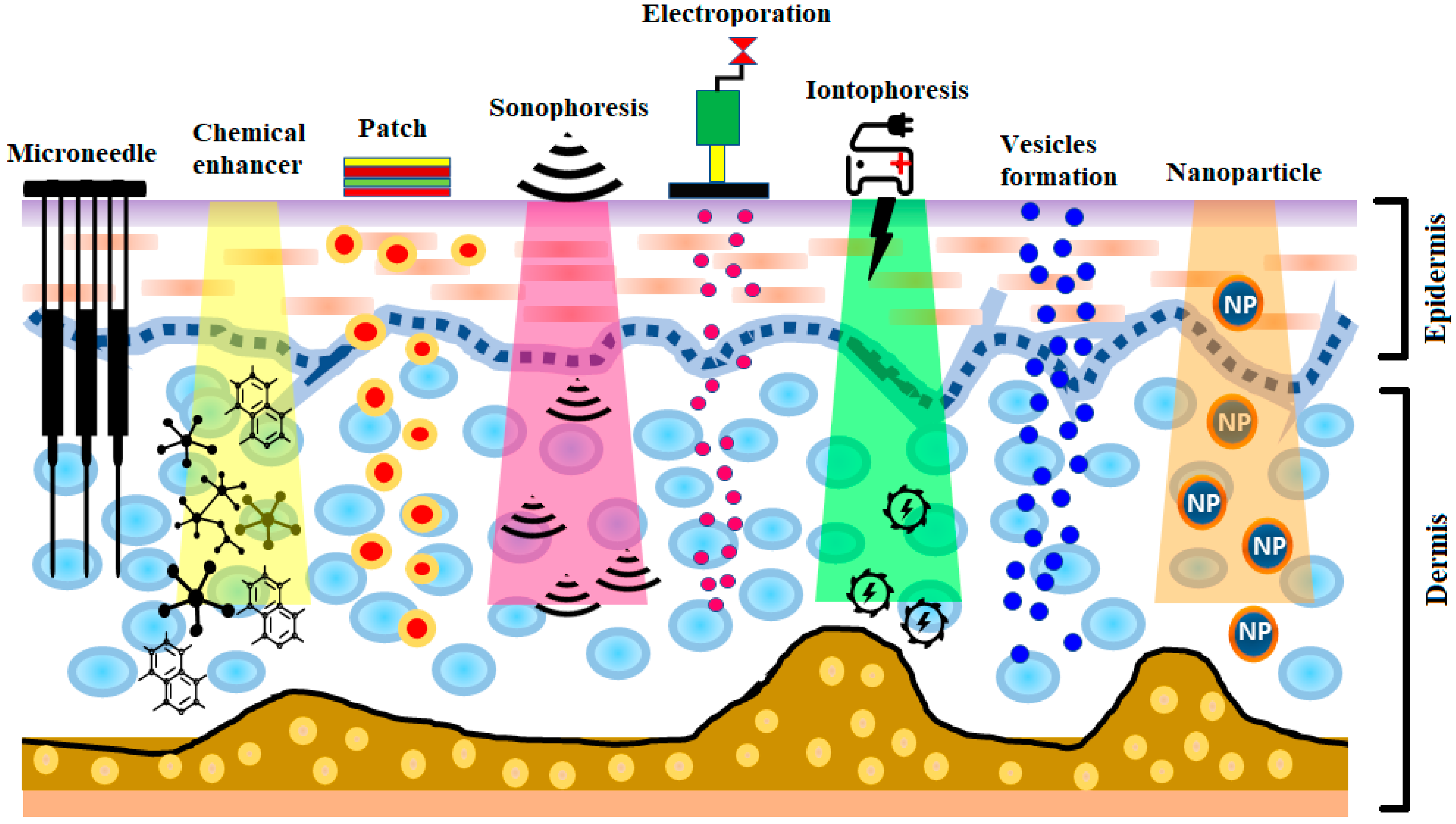 Pharmaceutics 13 00100 g001