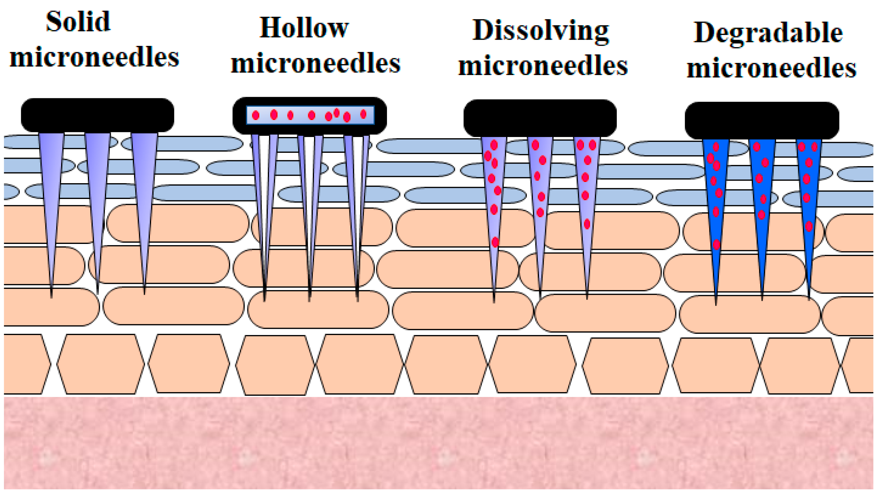 Pharmaceutics 13 00100 g002