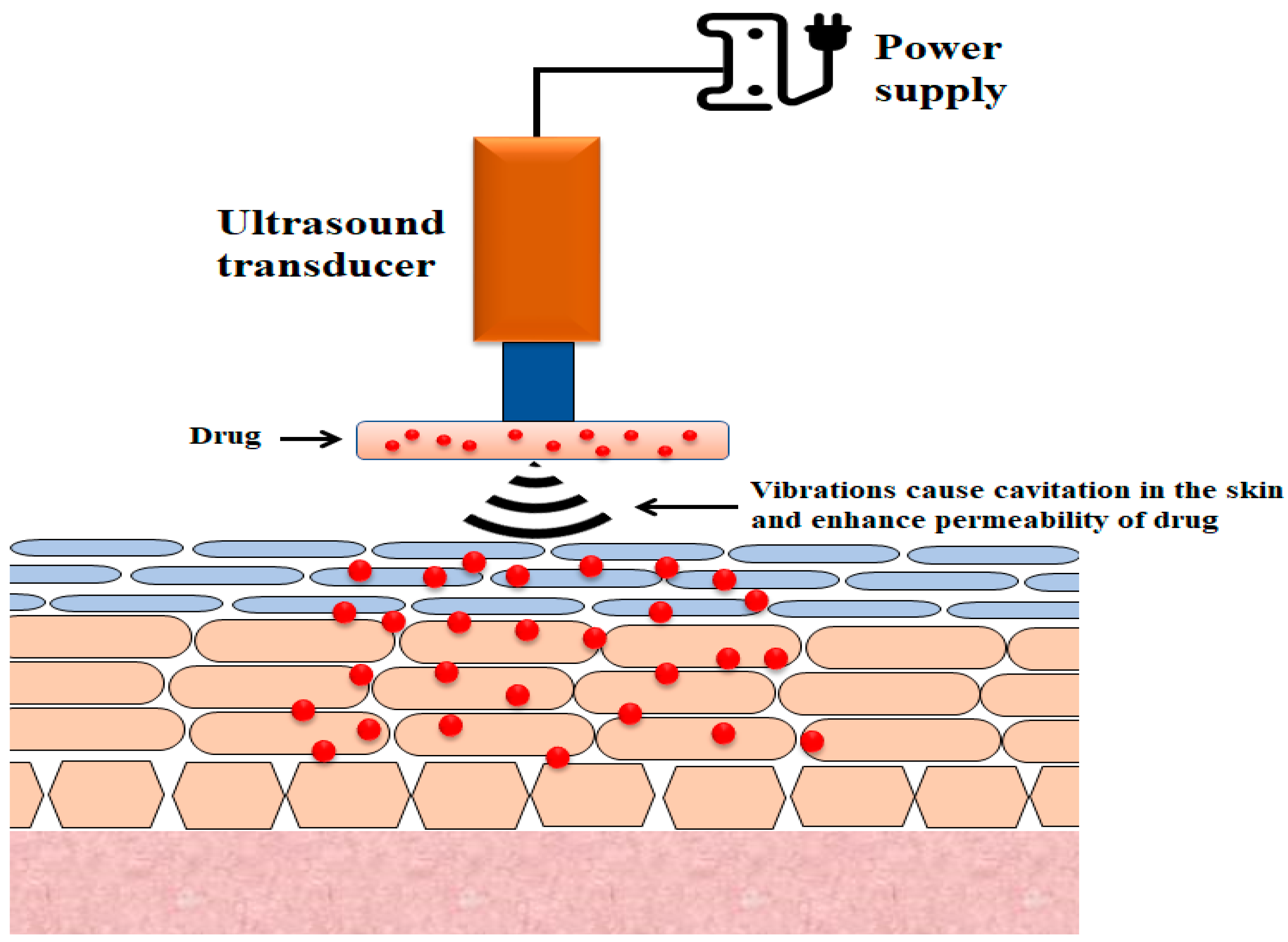 Pharmaceutics 13 00100 g003