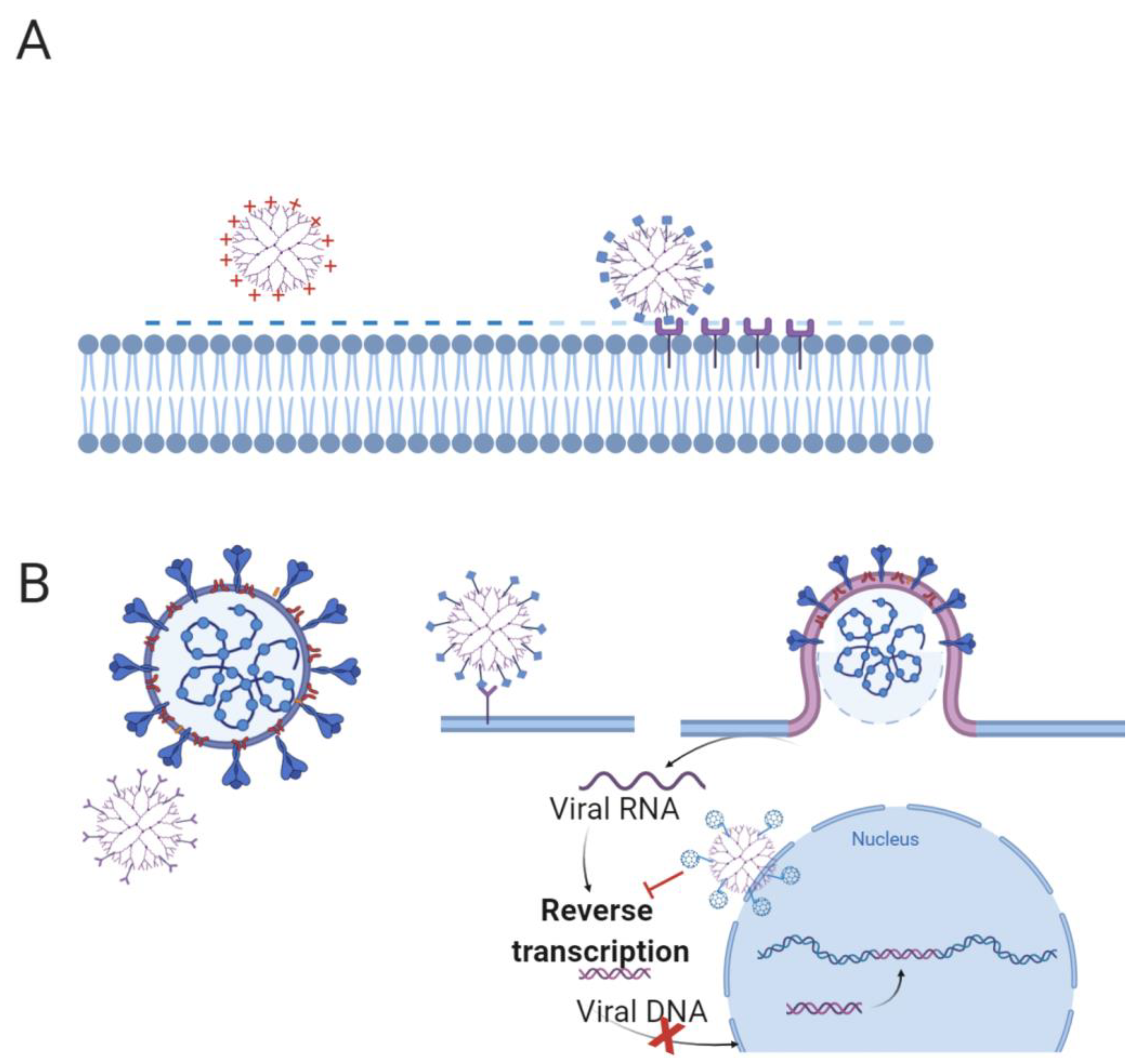 Pharmaceutics 13 00101 g005