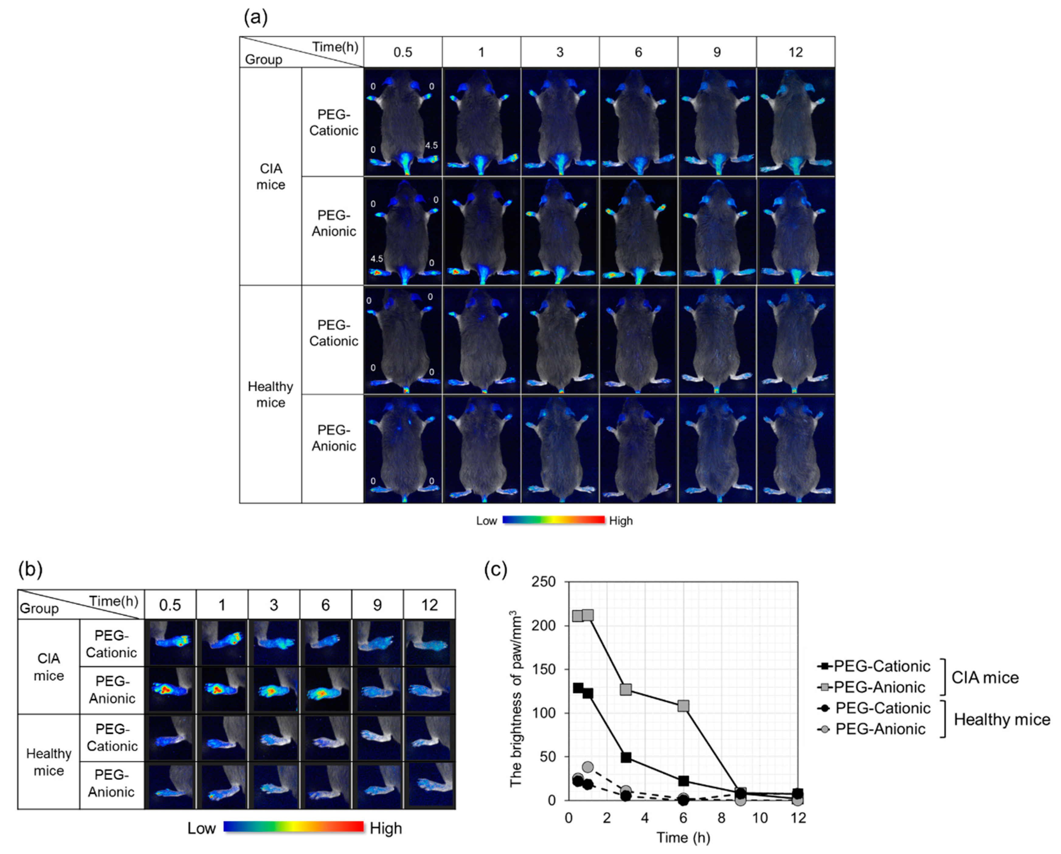 Pharmaceutics 13 00104 g002