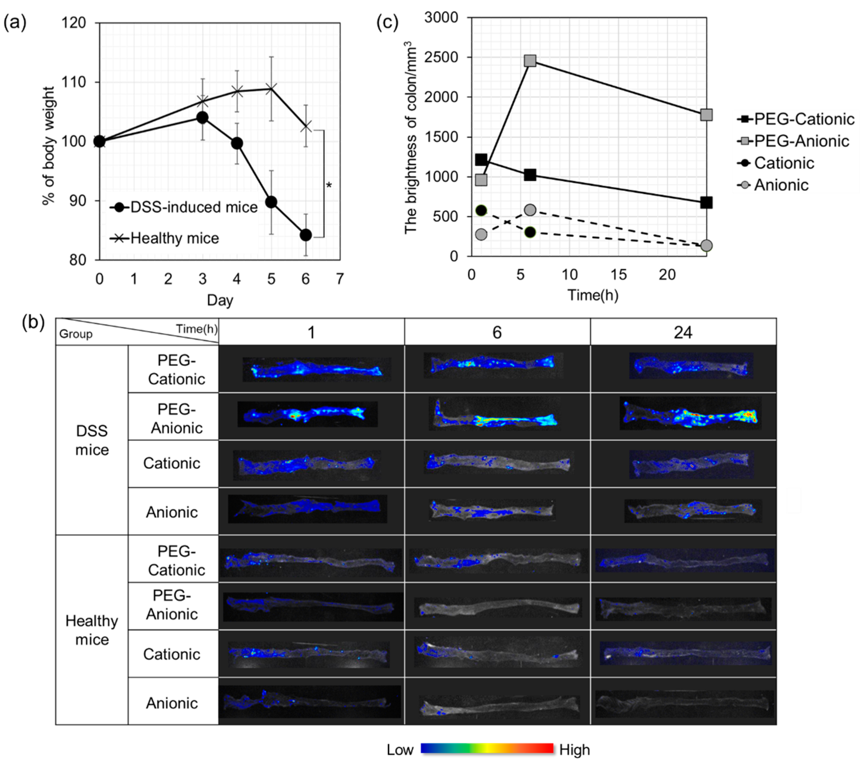 Pharmaceutics 13 00104 g003