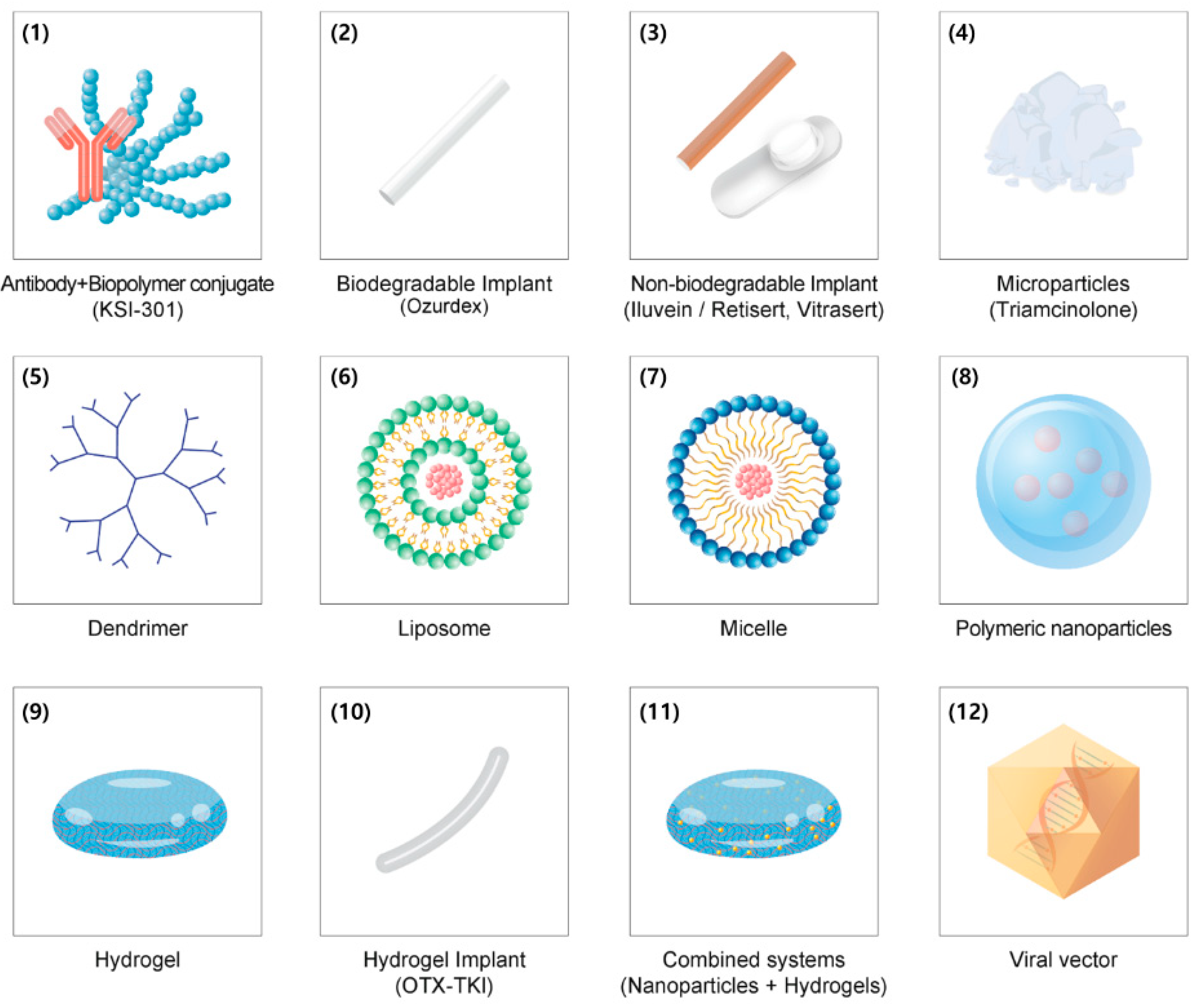 Pharmaceutics 13 00108 g002
