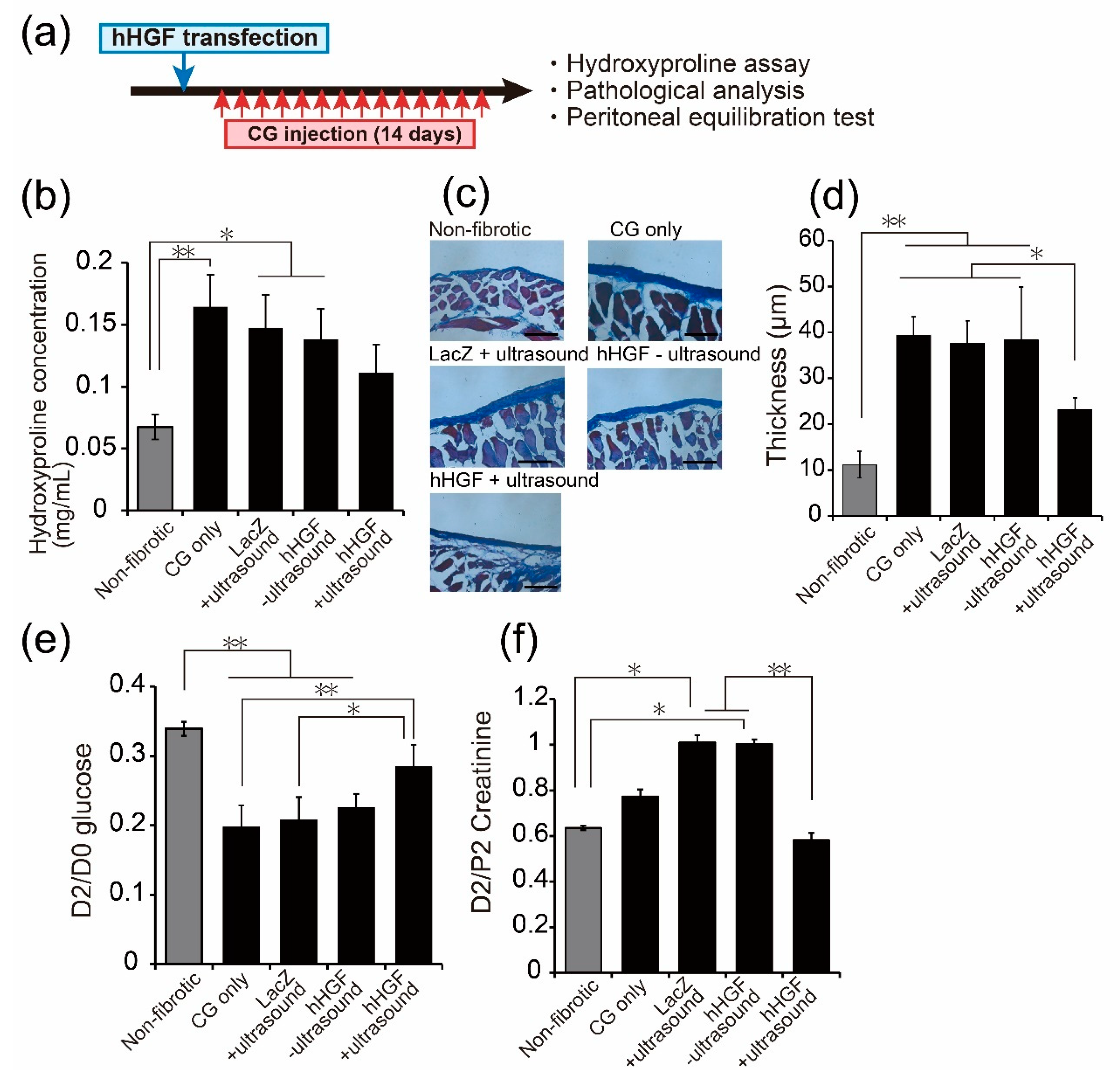 Pharmaceutics 13 00115 g002 Pharmaceutics 13 00115 g002