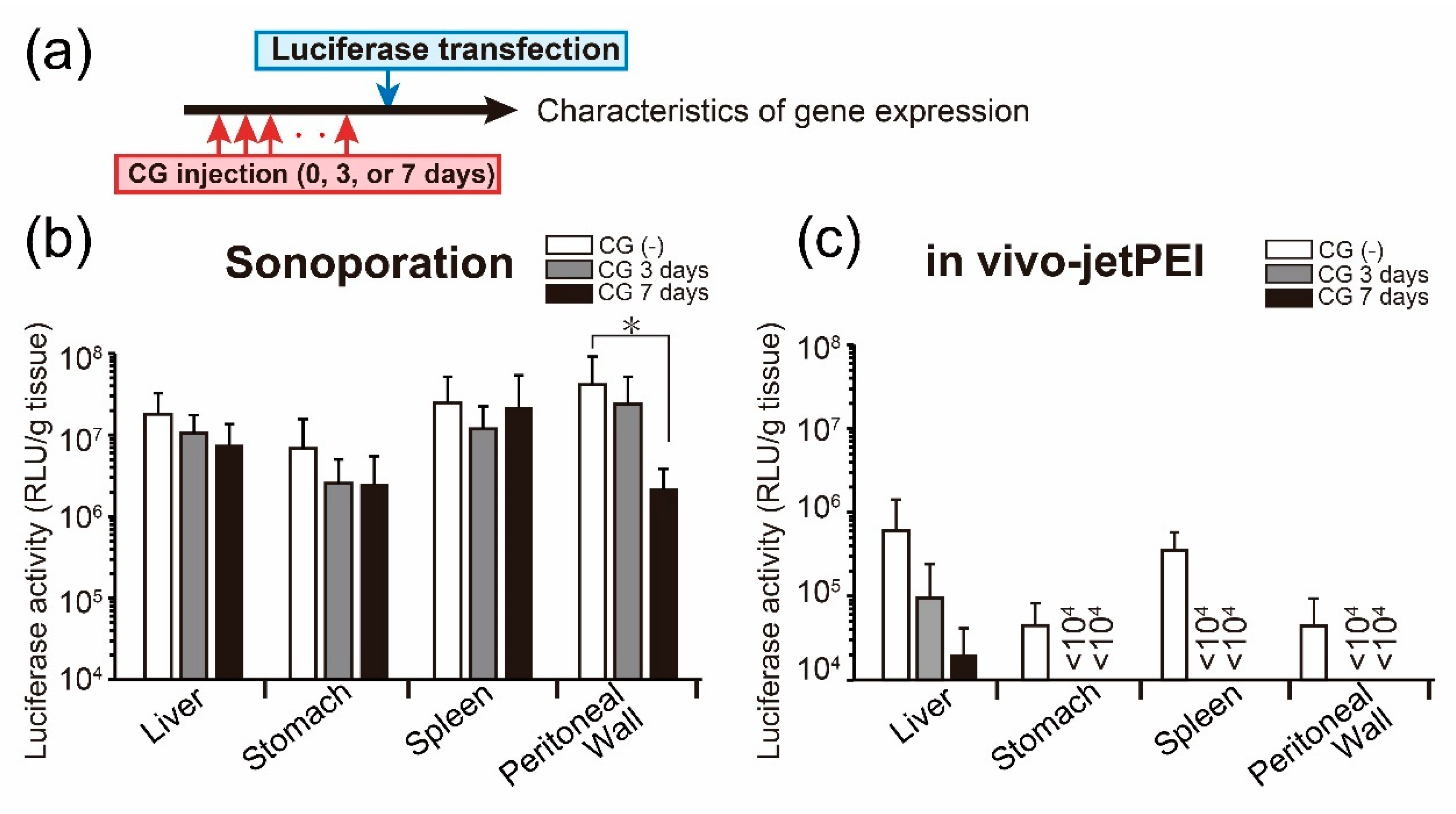 Pharmaceutics 13 00115 g004 Pharmaceutics 13 00115 g004
