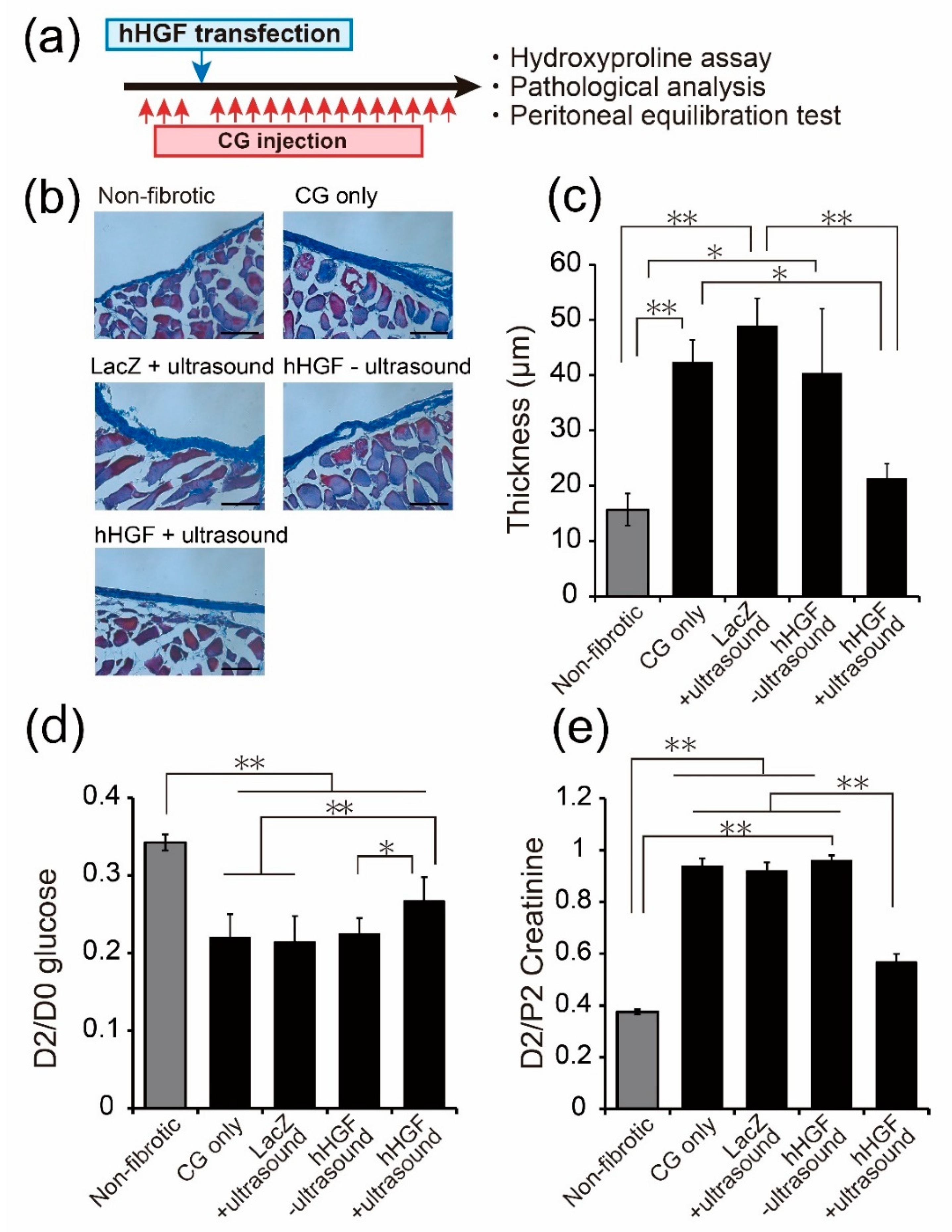 Pharmaceutics 13 00115 g006 Pharmaceutics 13 00115 g006