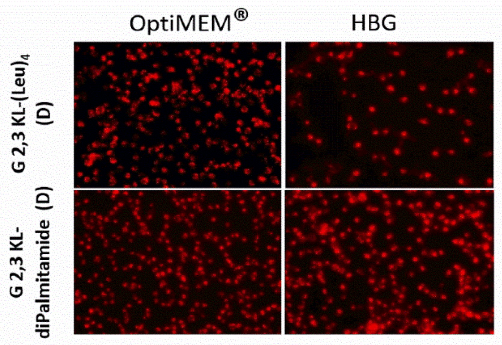 Pharmaceutics 13 00116 g003